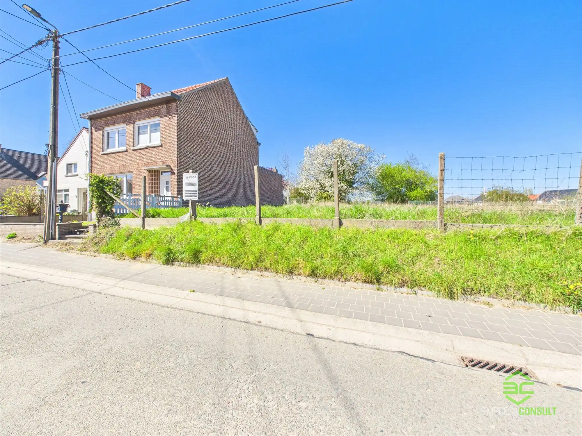 Halfopen bouwgrond op 4a 50ca in Wommersom! foto 5