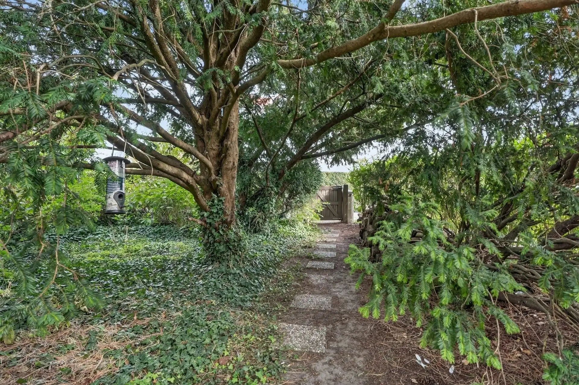 EXCLUSIEF / GROENE OASE  foto 43