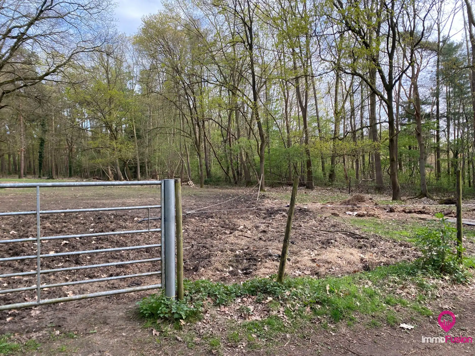 Landelijke weide voor dieren- en natuurliefhebbers! foto 6