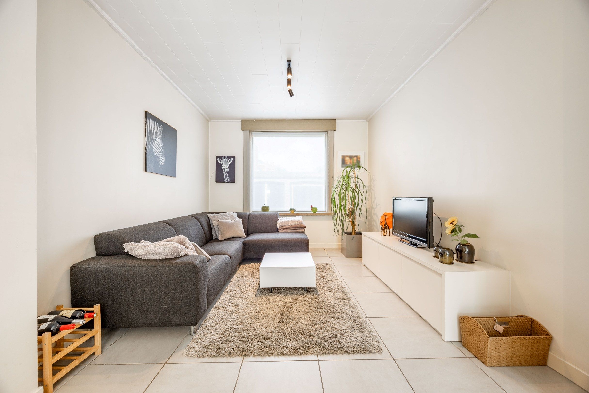 KNUSSE STARTERSWONING MET TUIN foto 6
