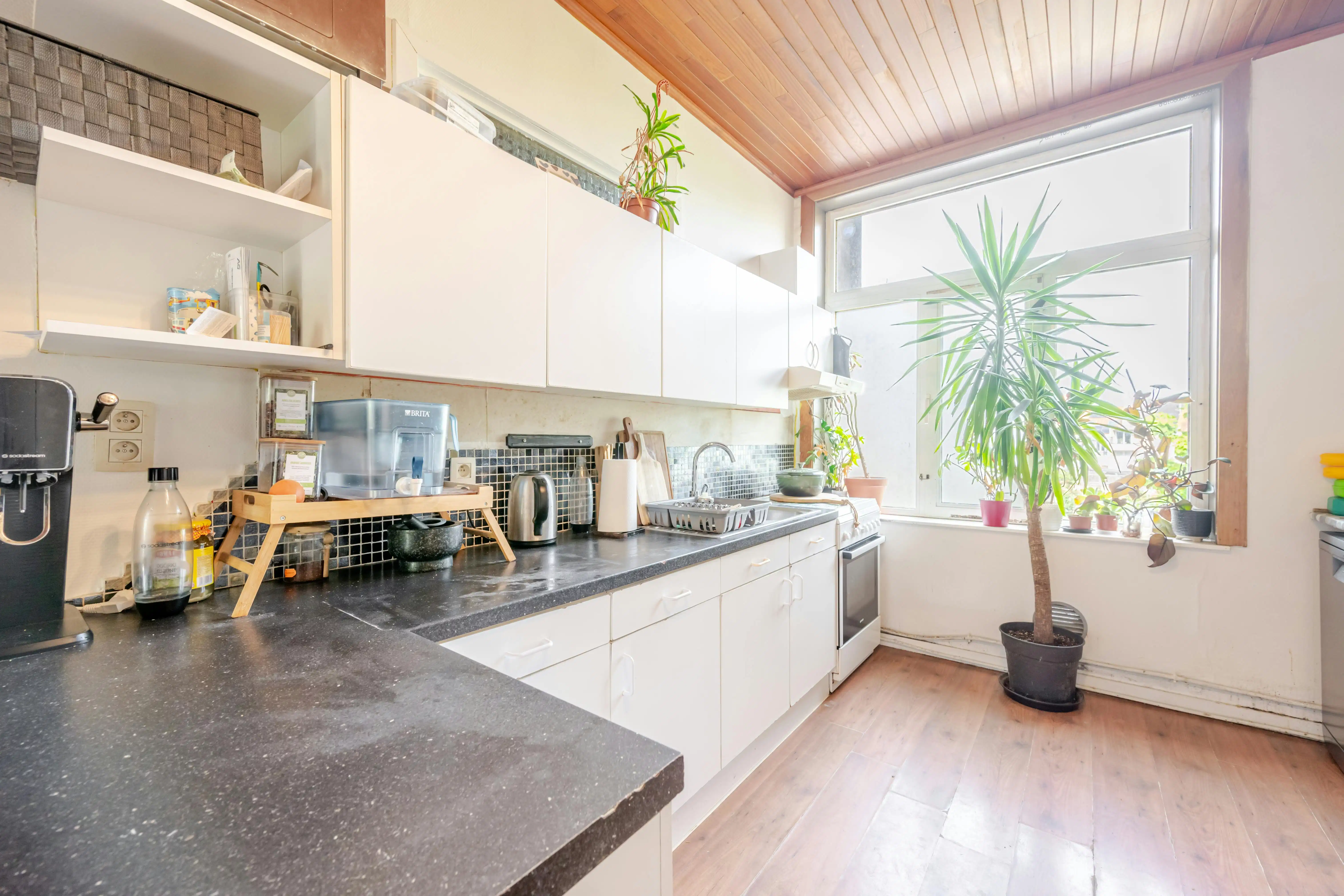 Opbrengsteigendom te koop met 4 vergunde entiteiten te Oostende foto 12