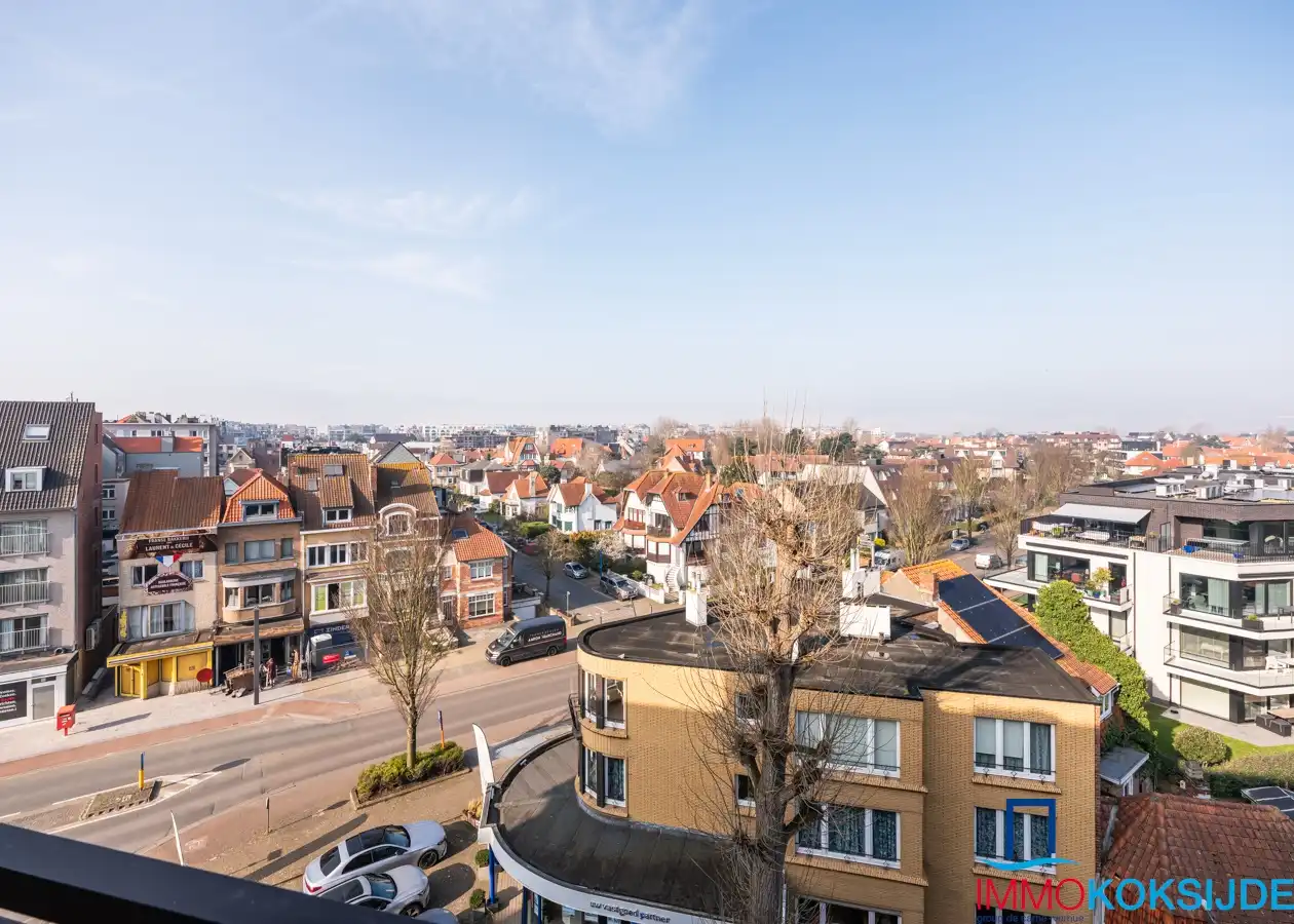 Zandroos I 05.01 Koksijde foto 7