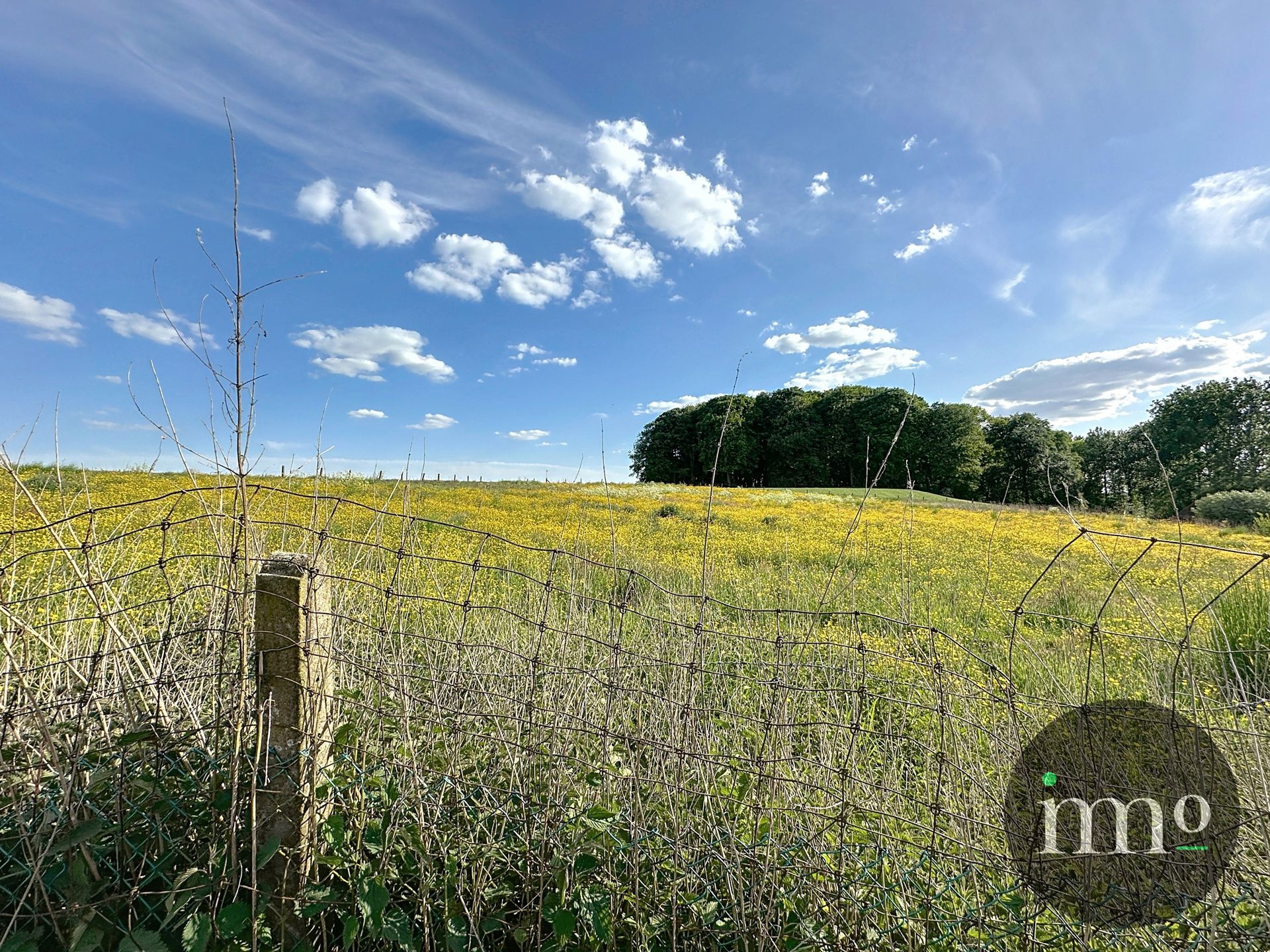 ***TOPLOCATIE***  Boerderijtje omgeven door weilanden foto 8