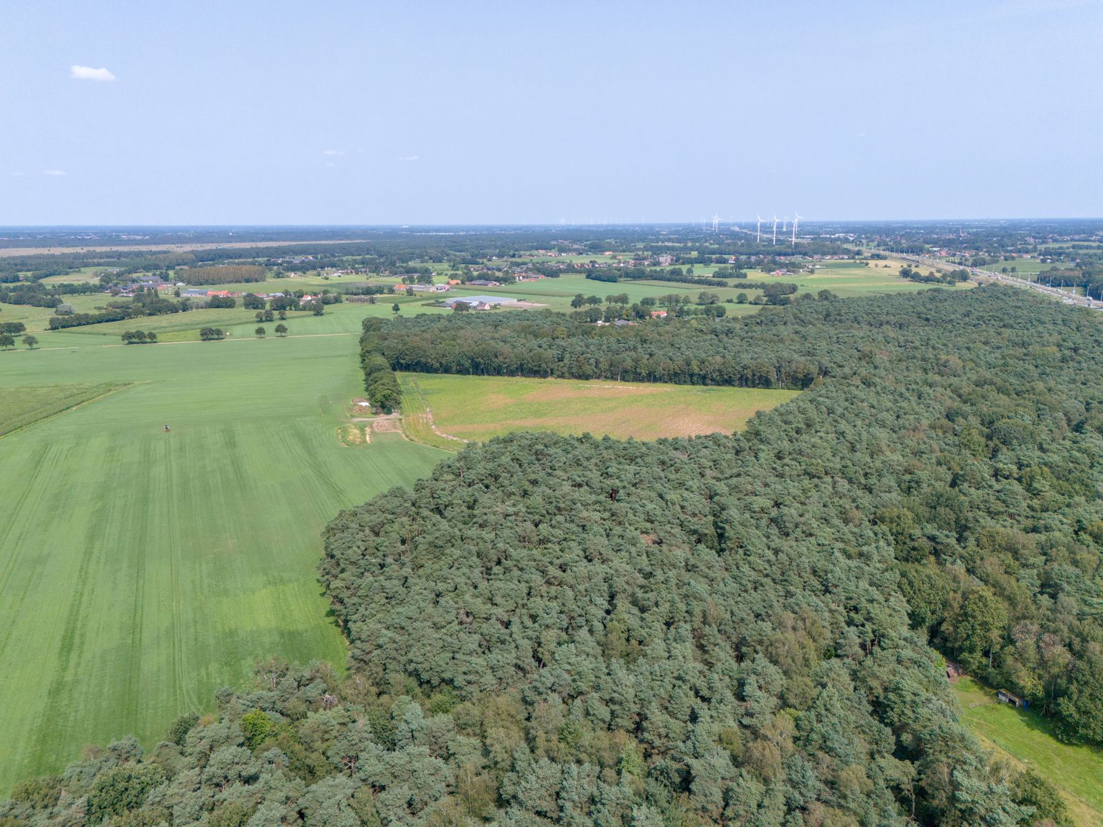 Perceel bosgrond van 21600m² te Brecht foto 5