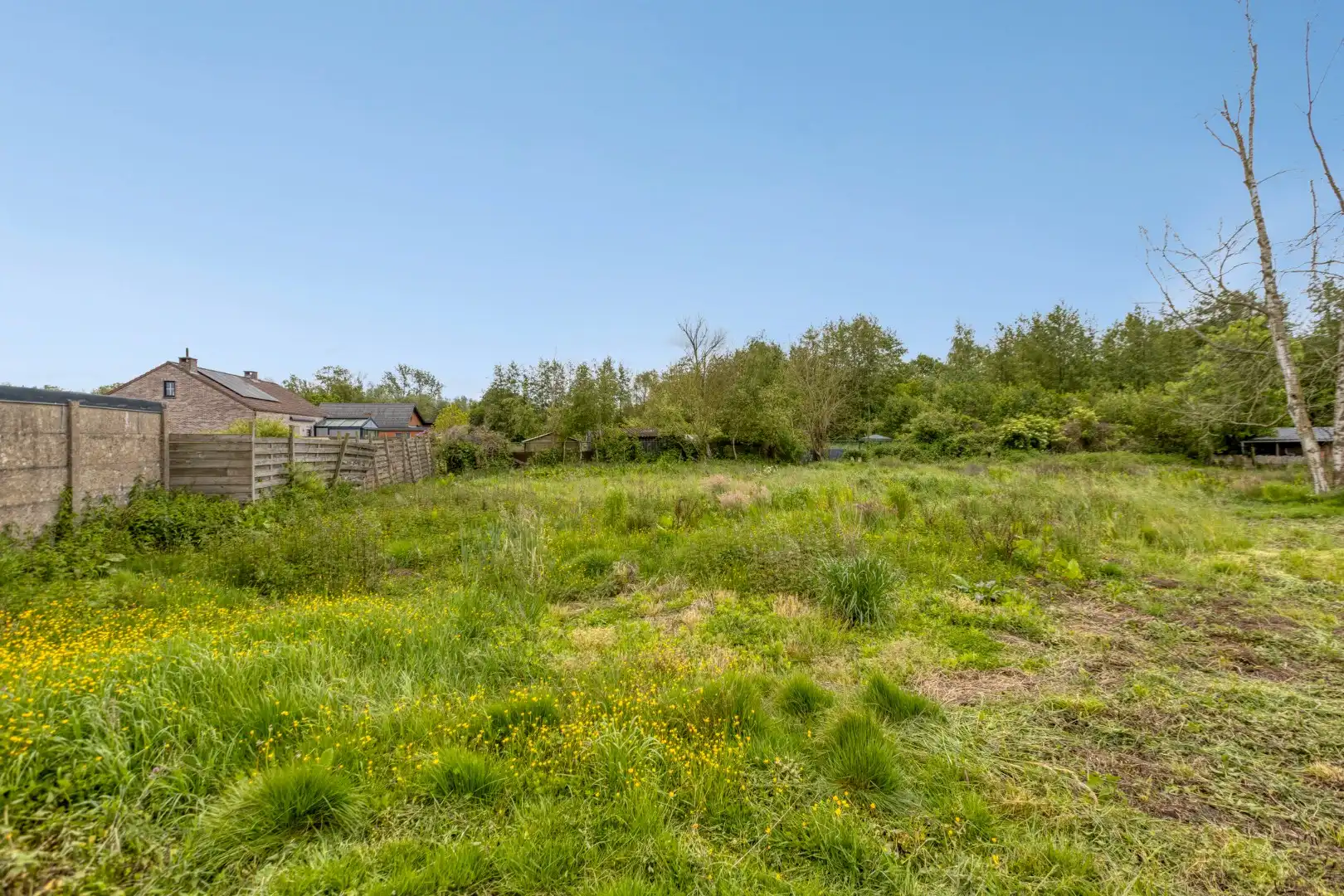Te renoveren woning met 3 slpks op een zonnig perceel van 1.195 m² !  foto 29