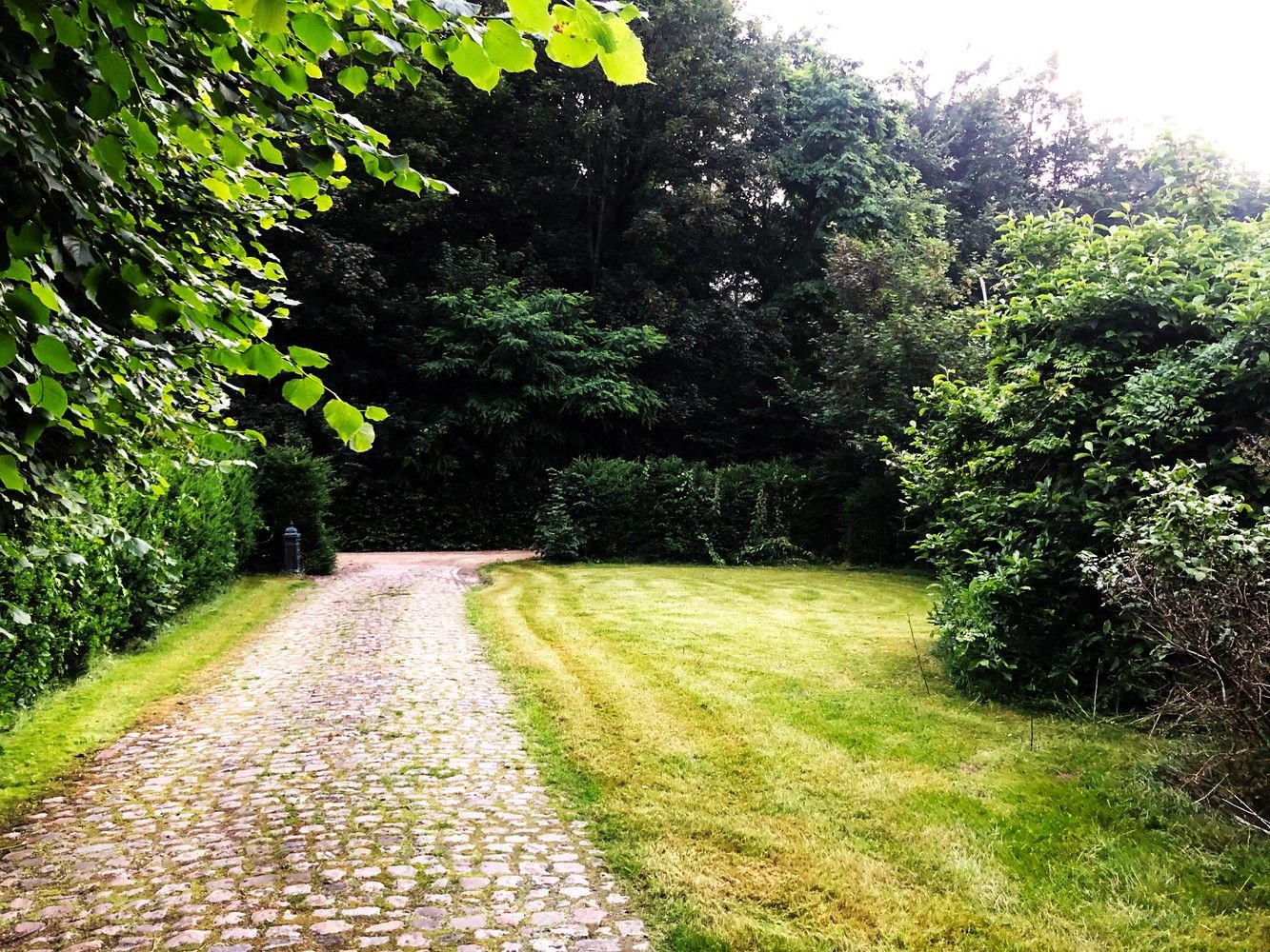 Uitzonderlijk gelegen villa aan de rand van Heverleebos foto 3