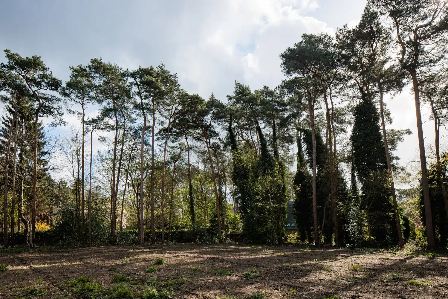 Uitstekend gelegen bouwgrond van ca. 2.993 m2 foto 4