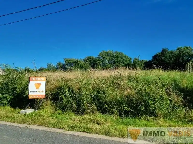 Grond met nieuwbouwwoning foto 5