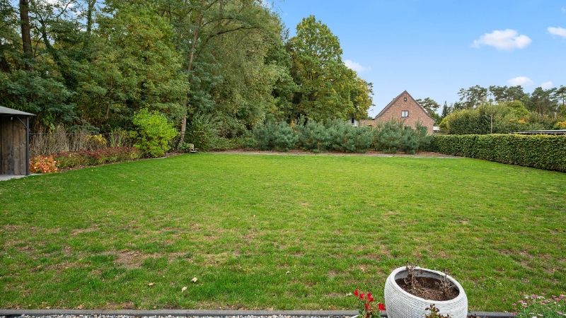Landhuis alles gelijkvloers van 150m² op 19 are 58 ca foto 3