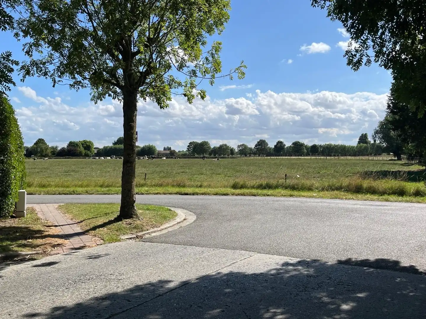 Recent gebouwde, energiezuinige villa gelegen in een rustige dreef van een centraal gelegen villawijk te Knokke-Heist. foto 22