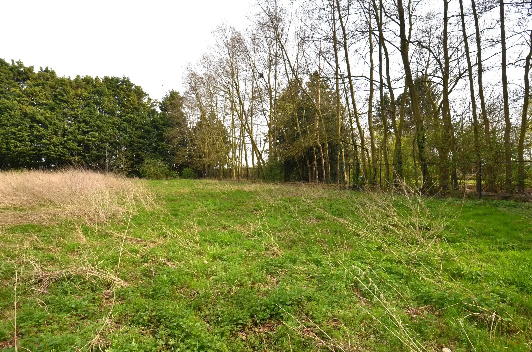 Magazijn met bijhorende weiland foto 6