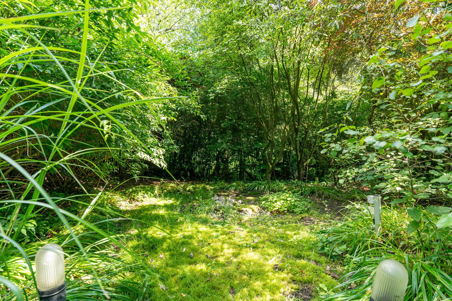 Karaktervolle woning met groene tuin (13,82 are!) foto 56