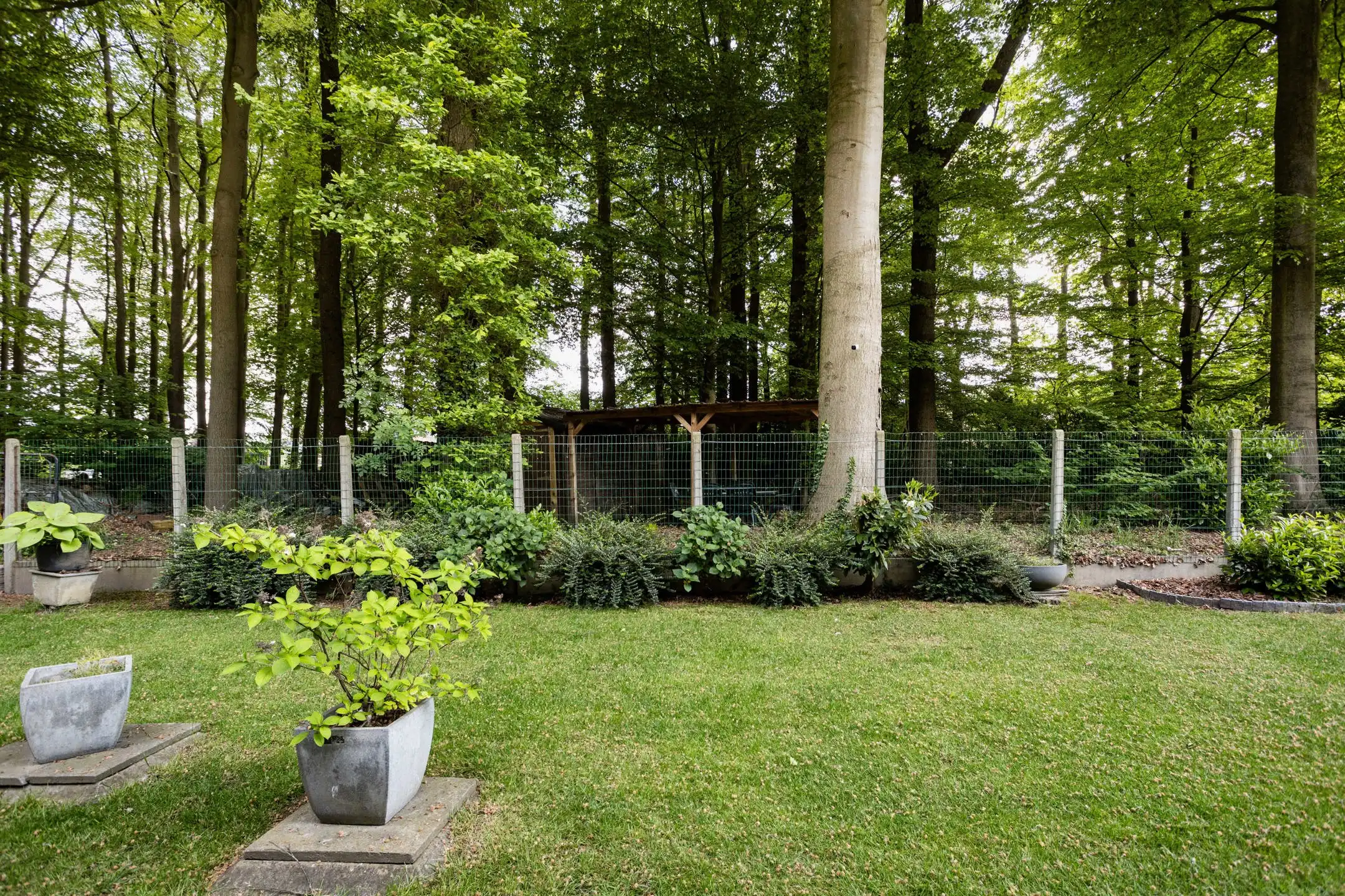 Te moderniseren bungalow met bos in Louise-Marie foto 30