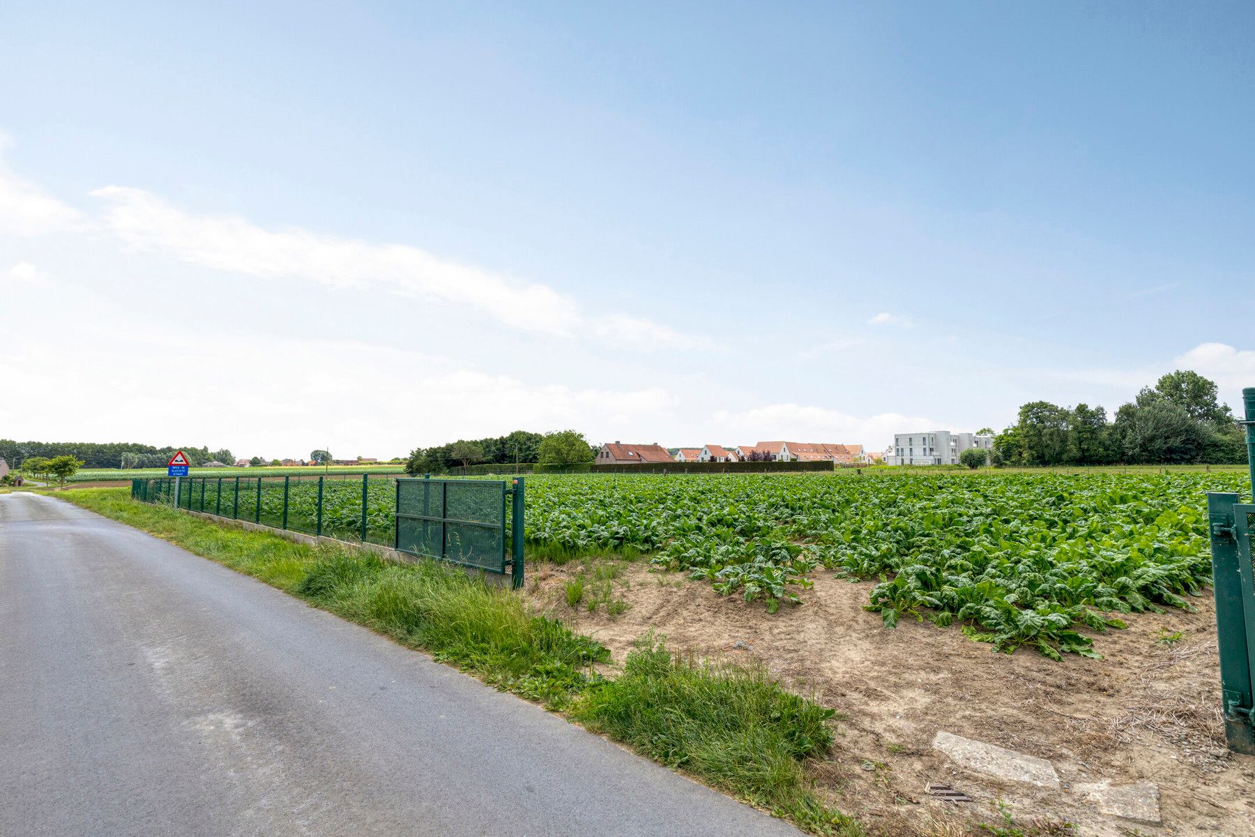 Rustig gelegen woning op 5.913m² !!!! foto 4