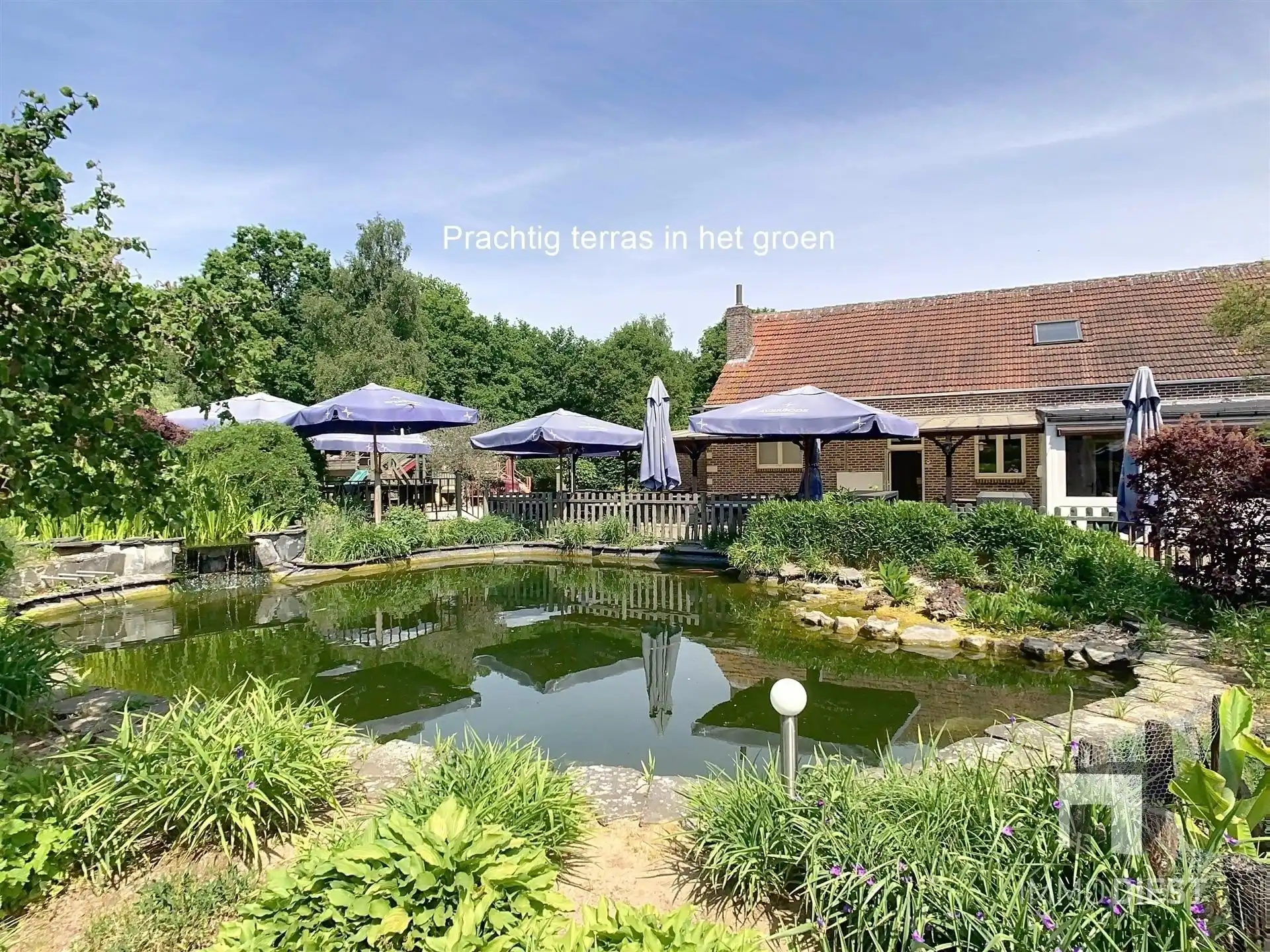 Brasserie - restaurant - feestzaal - privéwoonst foto 35