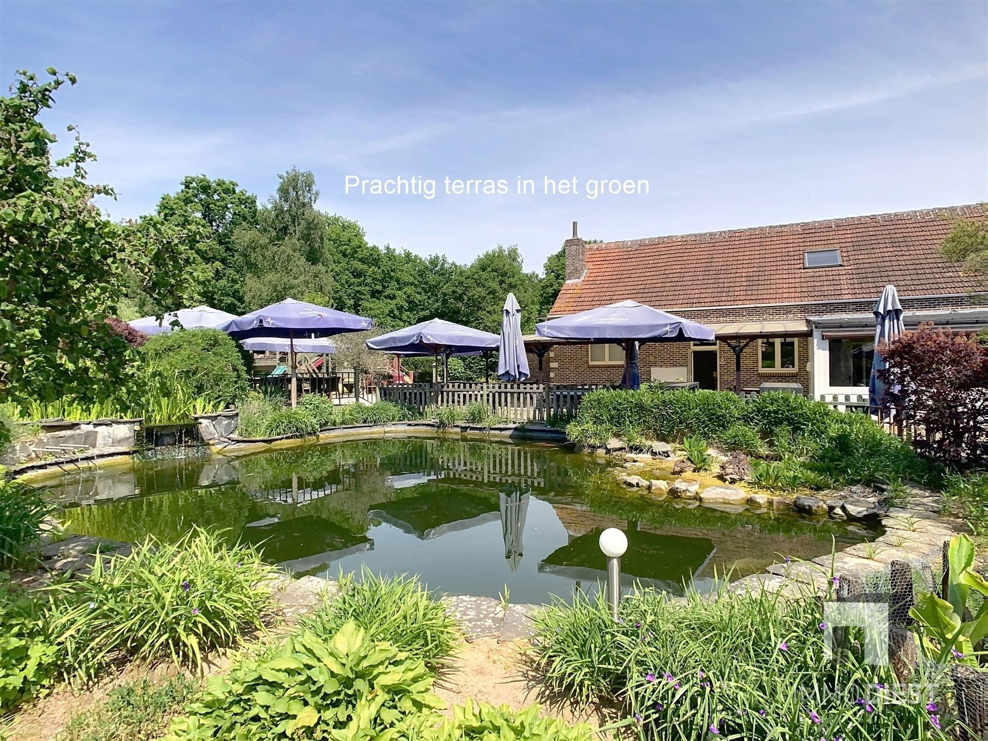 Brasserie - restaurant - feestzaal - privéwoonst foto 35