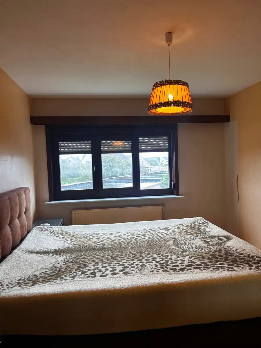 Ruime woning met 5 slpk, 2 badkamers, garage en ruime tuin foto 15
