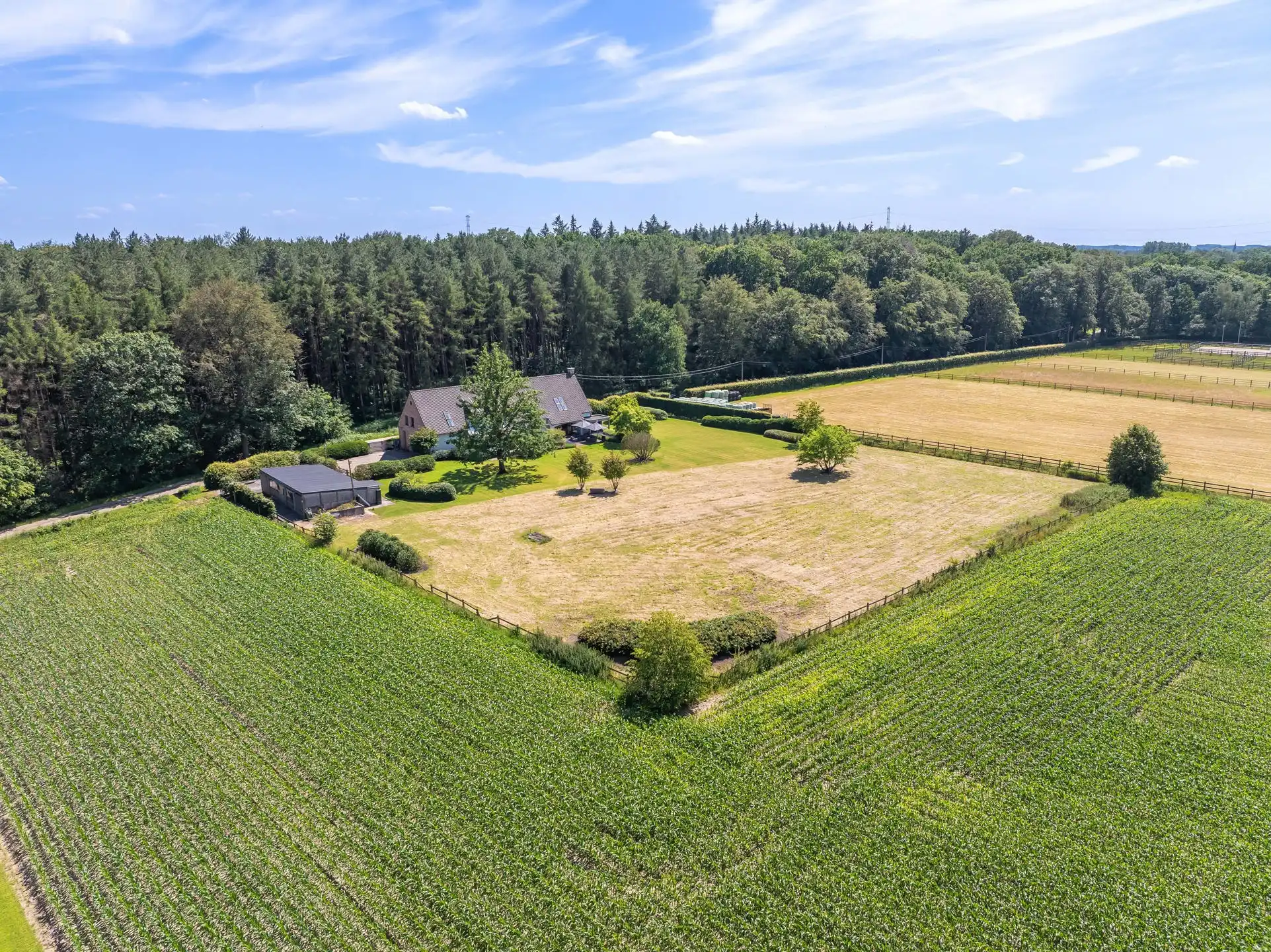 Exclusieve villa op toplocatie in Zandhoven  foto 3