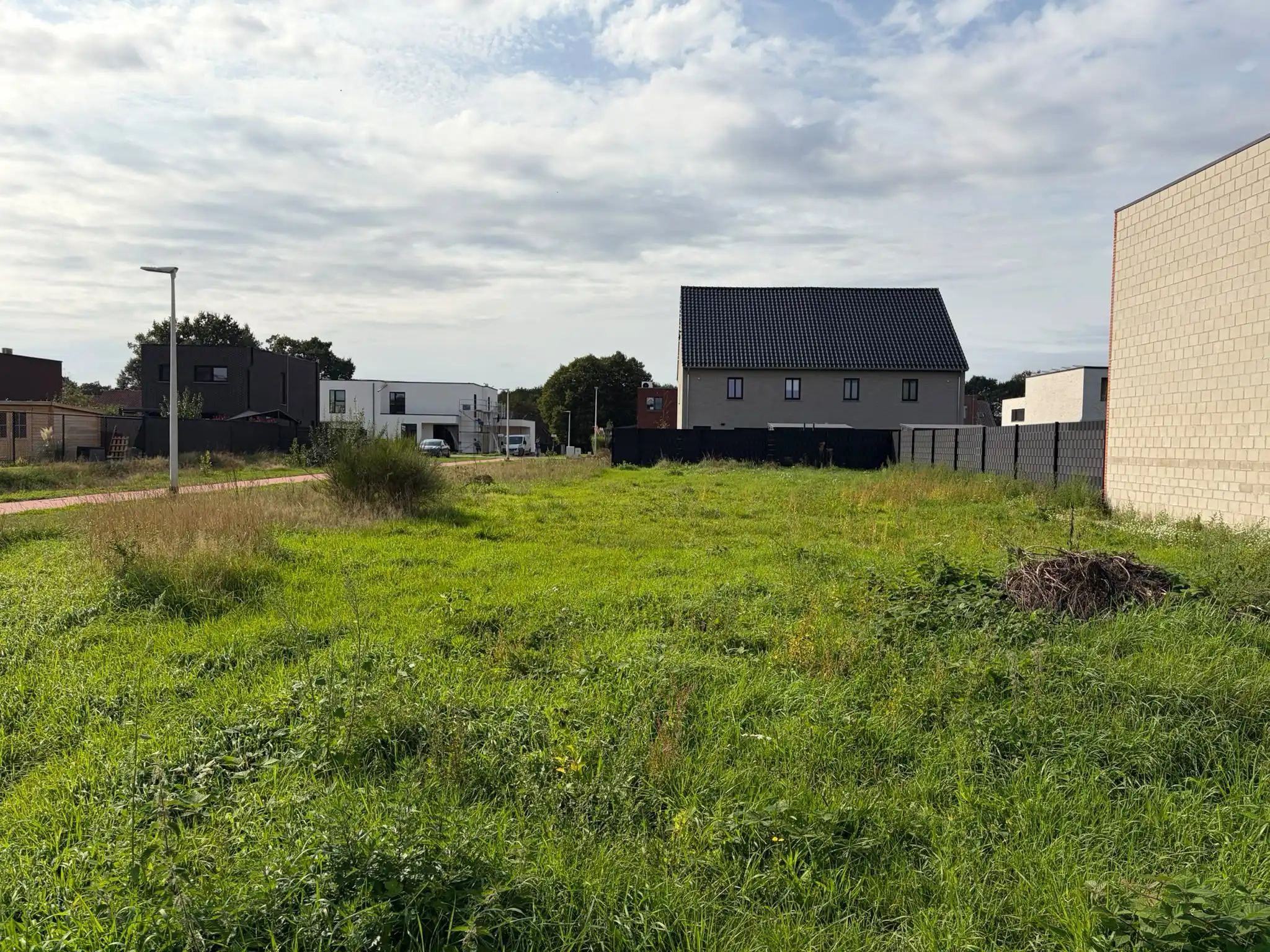 Grond te koop Tarwestraat 1 - 3990 Peer