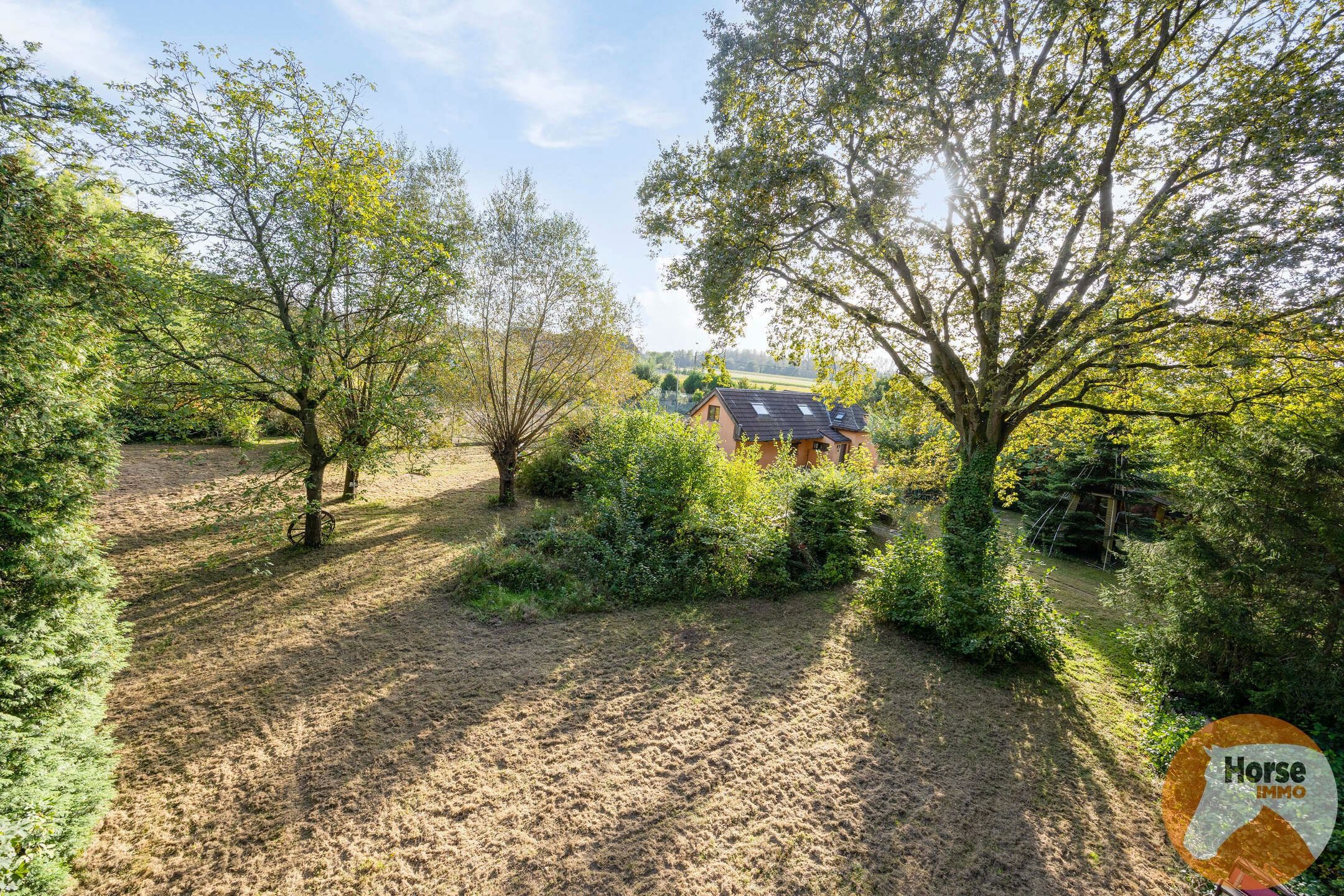 VELTEM-BEISEM - Woning met weilanden en eigen bos op 3ha32 foto 1