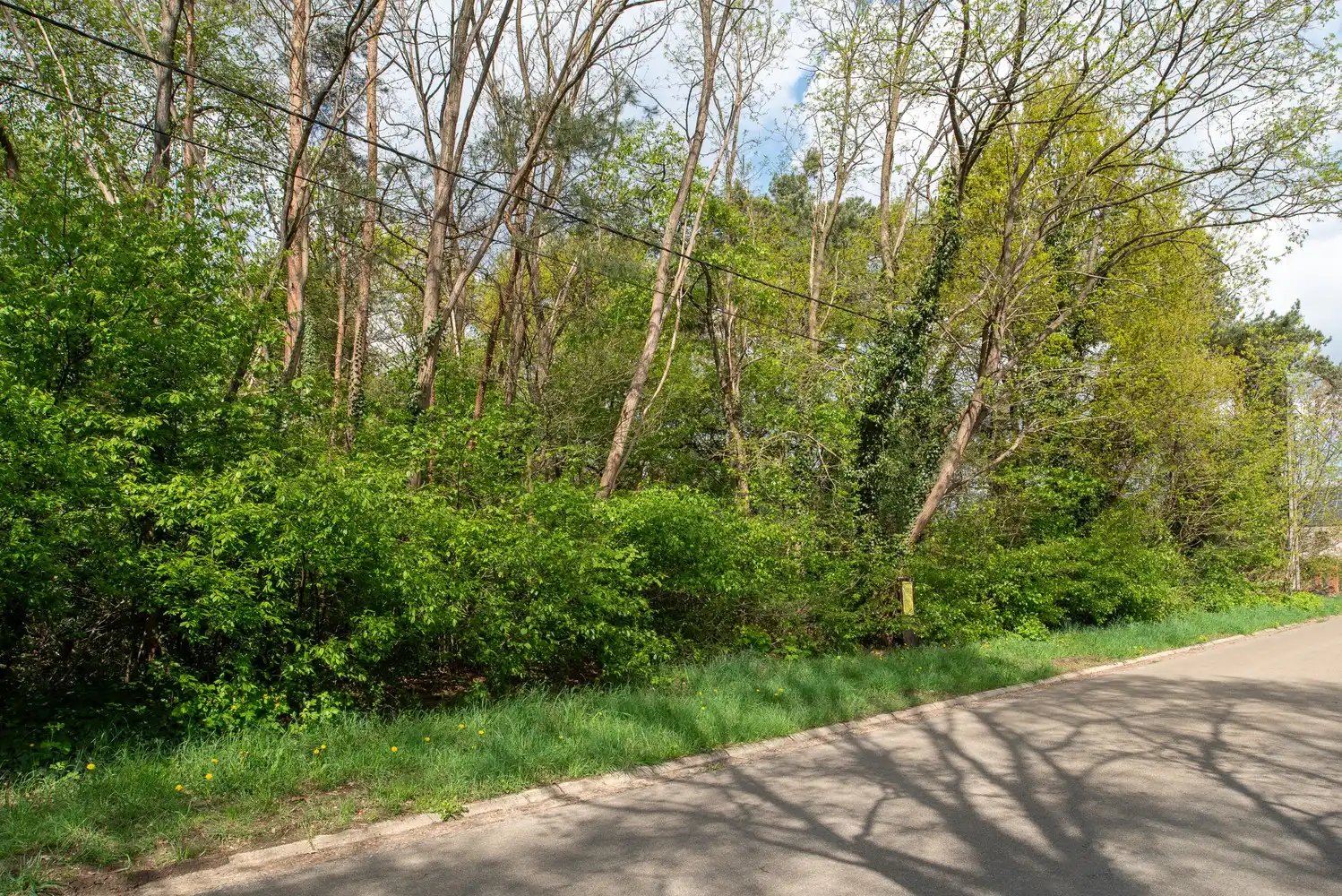 Mooie bouwgrond voor open bebouwing: LOT 1 foto 8