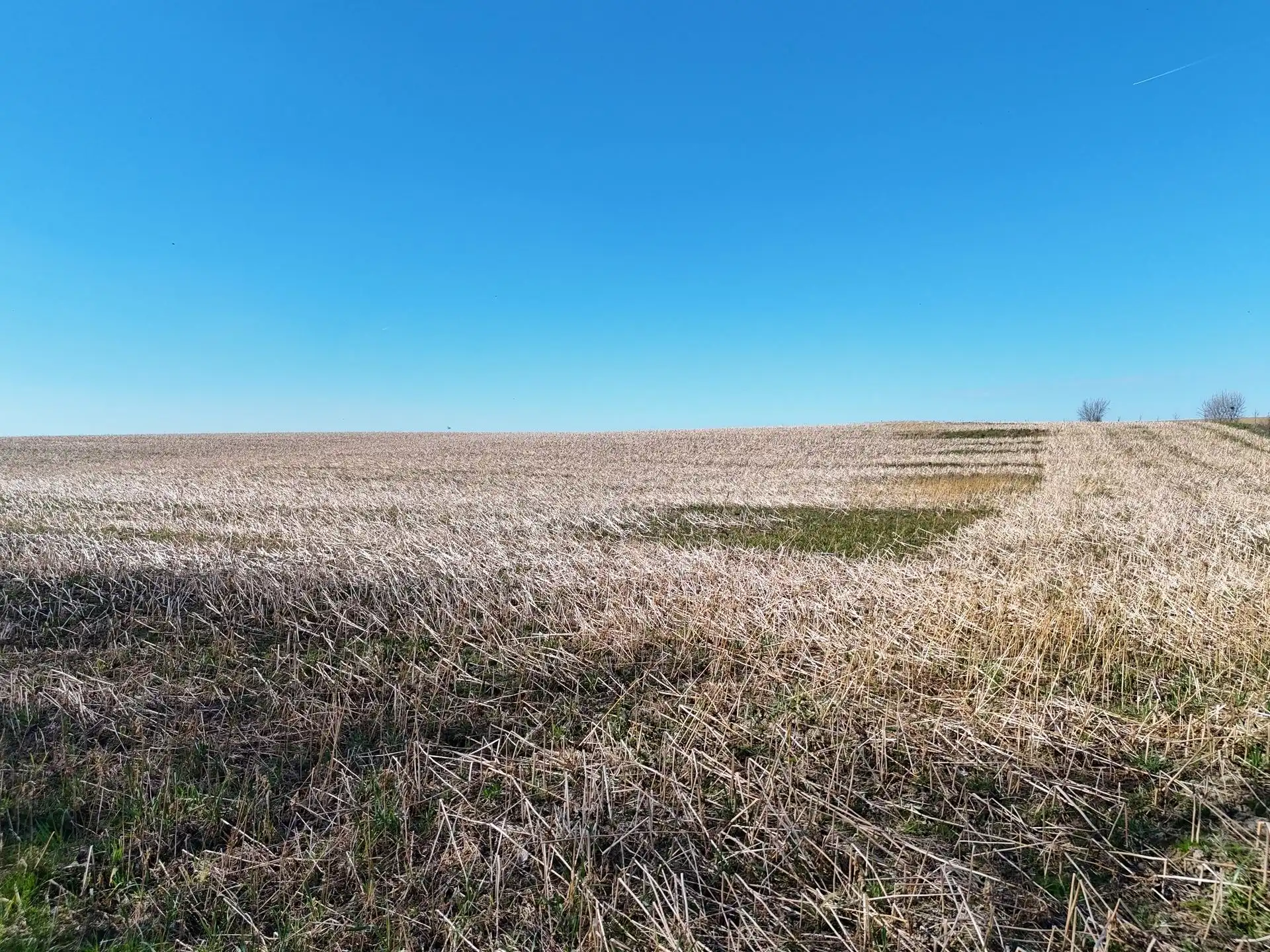 Groot perceel landbouwgrond - BLOK A foto 12