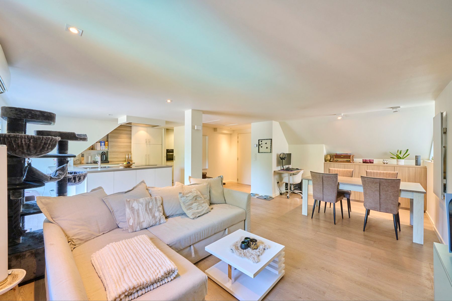 Exclusieve woning met handelzaak,appartement, zwembad en lift. foto 52