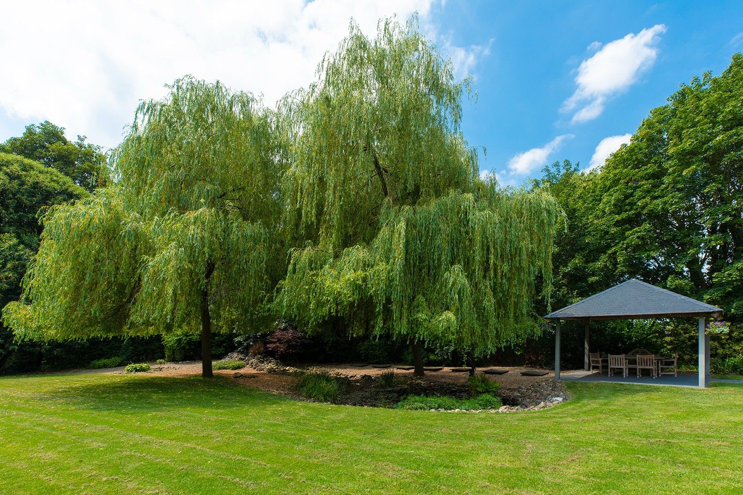 Eigentijdse villa met binnenzwembad en wellness, prachtig gesitueerd op een perceel van bijna 7ha te Warsage foto 4