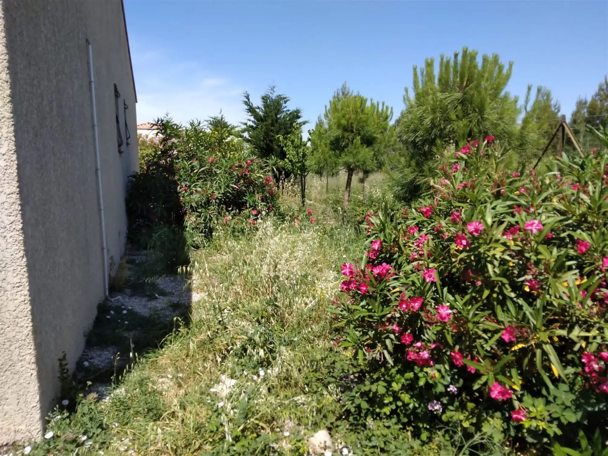 Villa met 4 slaapkamers - tussen Perpignan en Narbonne foto 14