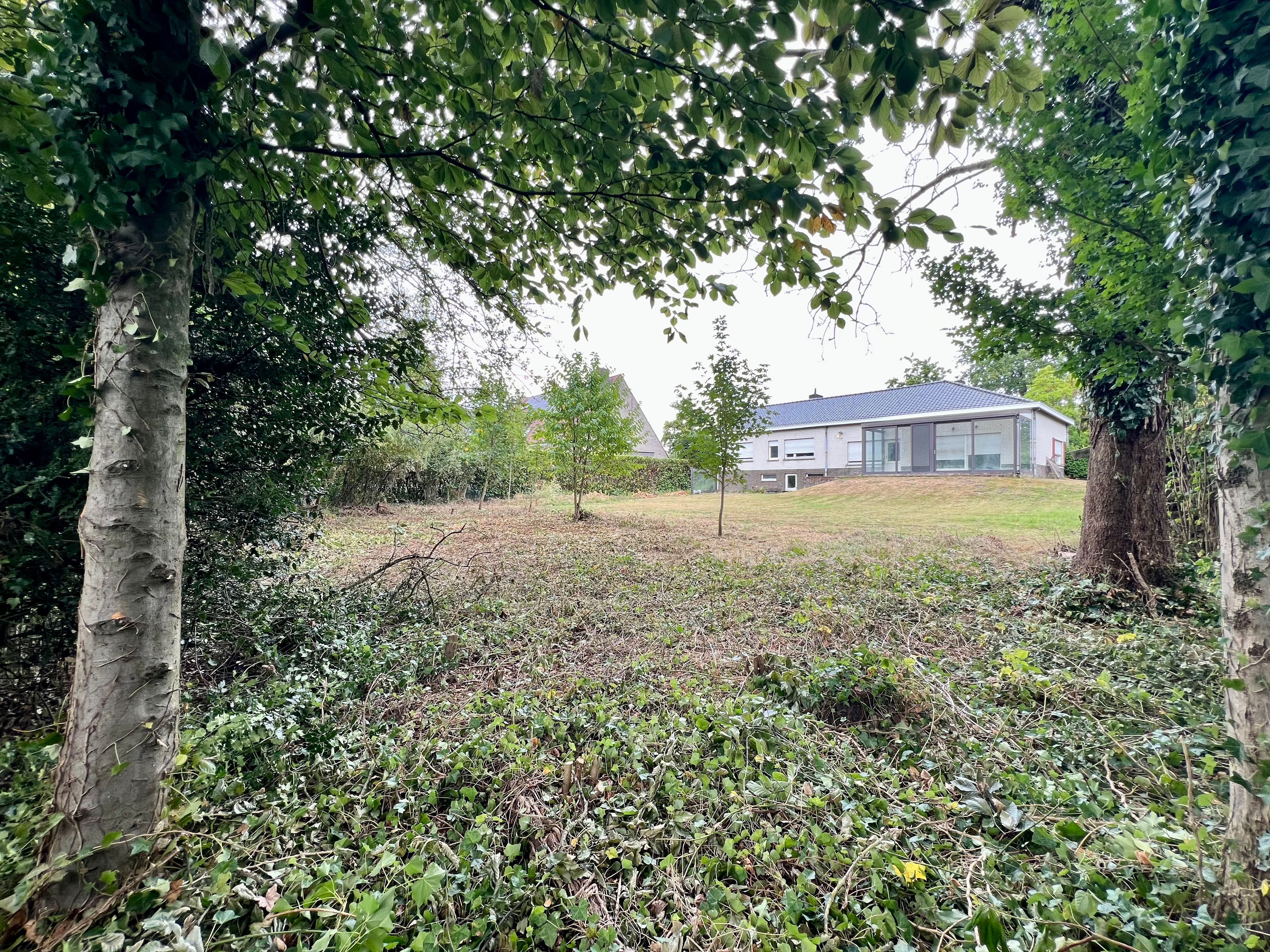Hoofdfoto van de publicatie: Ruime woning op een perceel van 2.262 m2