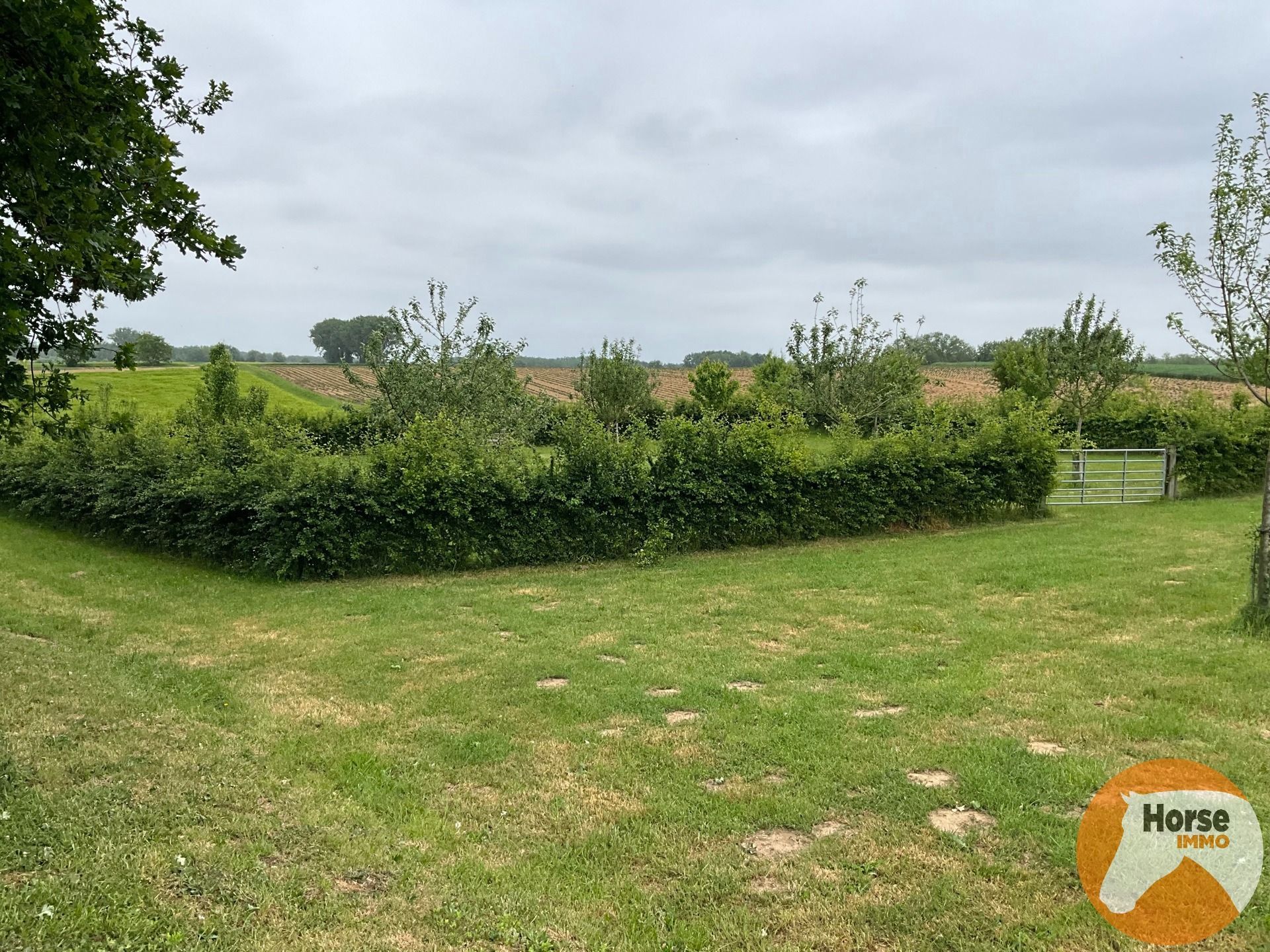 GERAARDSBERGEN - Rustig gelegen weide - 1,04 ha  foto 11