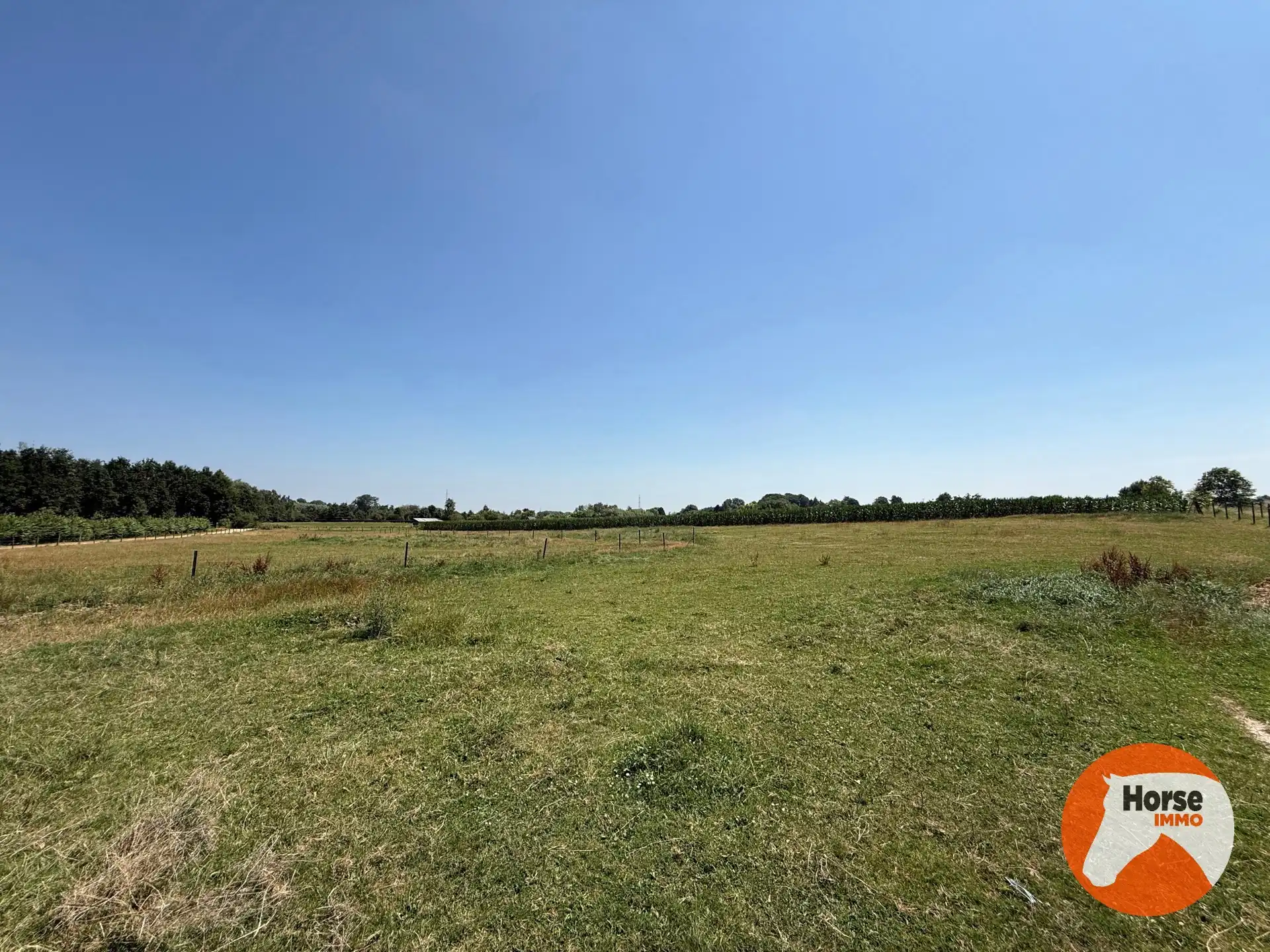 ASSE - Paardenaccommodatie op 1,07ha met 3 vergunde stallen foto 8
