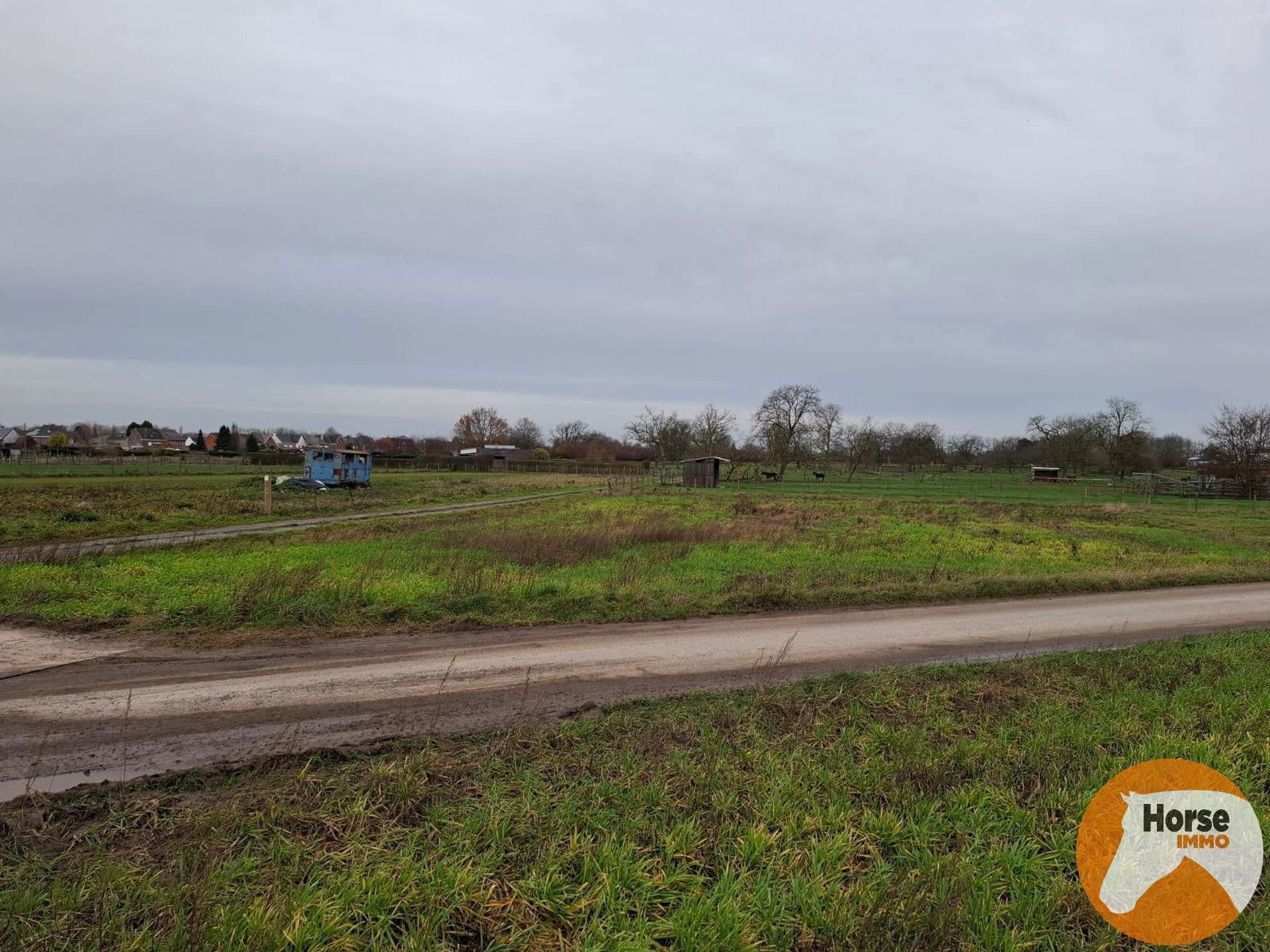 HAALTERT – Perceel weiland van 19a 10ca foto 5