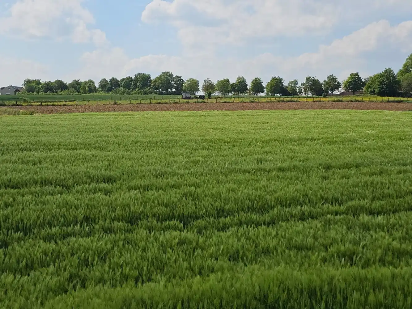Uiterst rustig gelegen landhuis foto 38