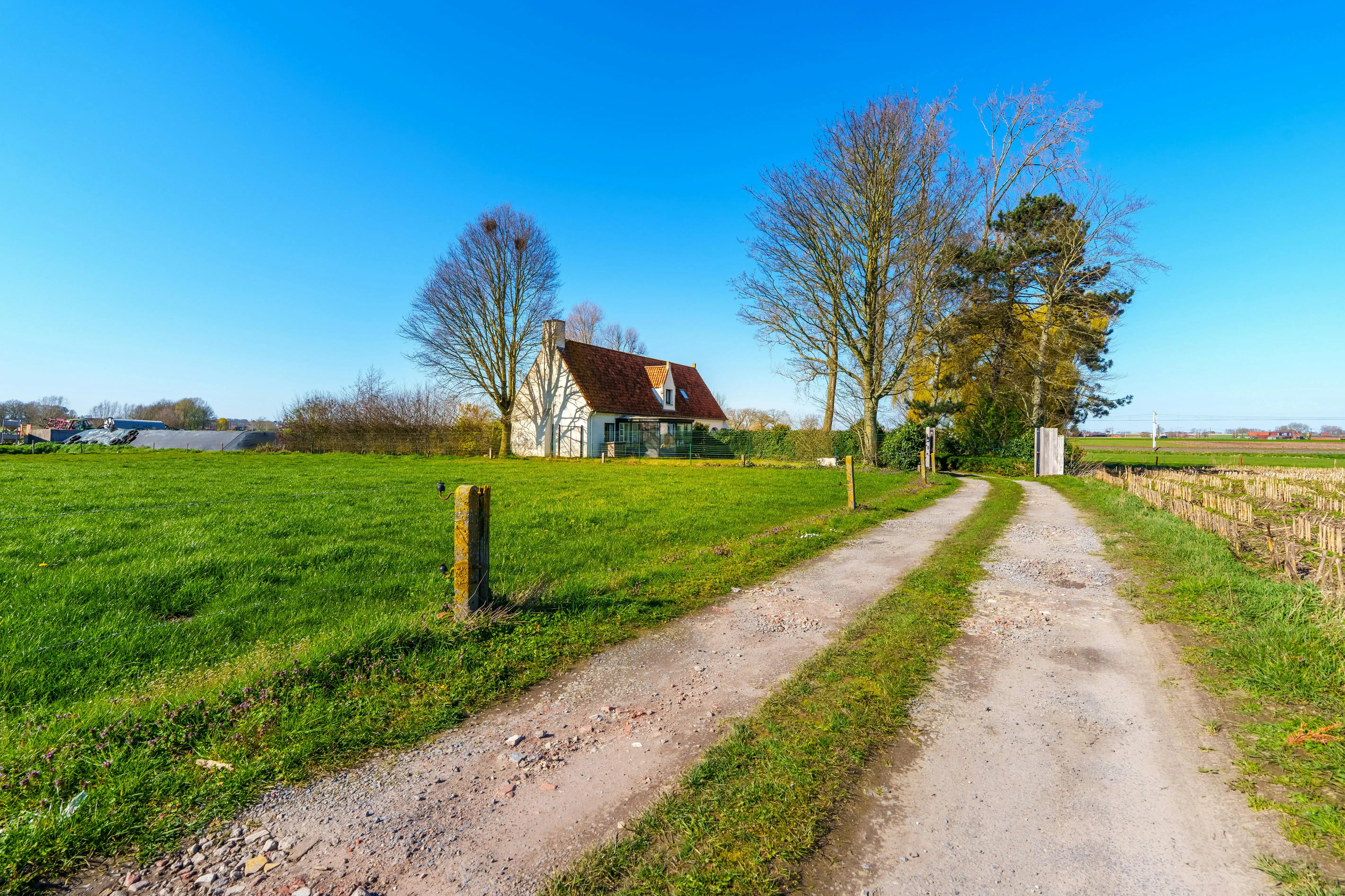Landelijk alleenstaand huis op 4.806m² in Aarsele foto 16