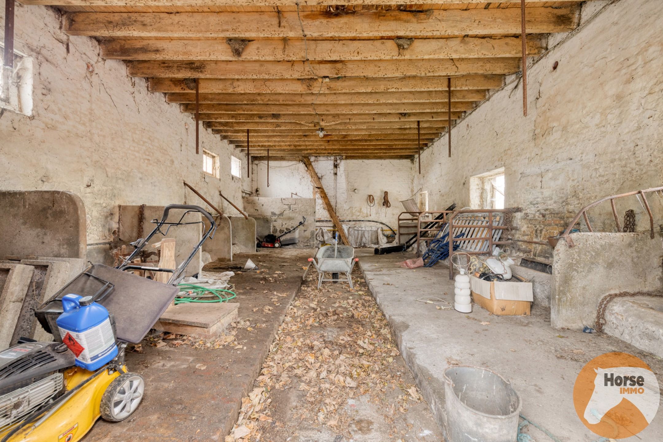 OUDENBURG - Herenhoeve op 3Ha foto 11