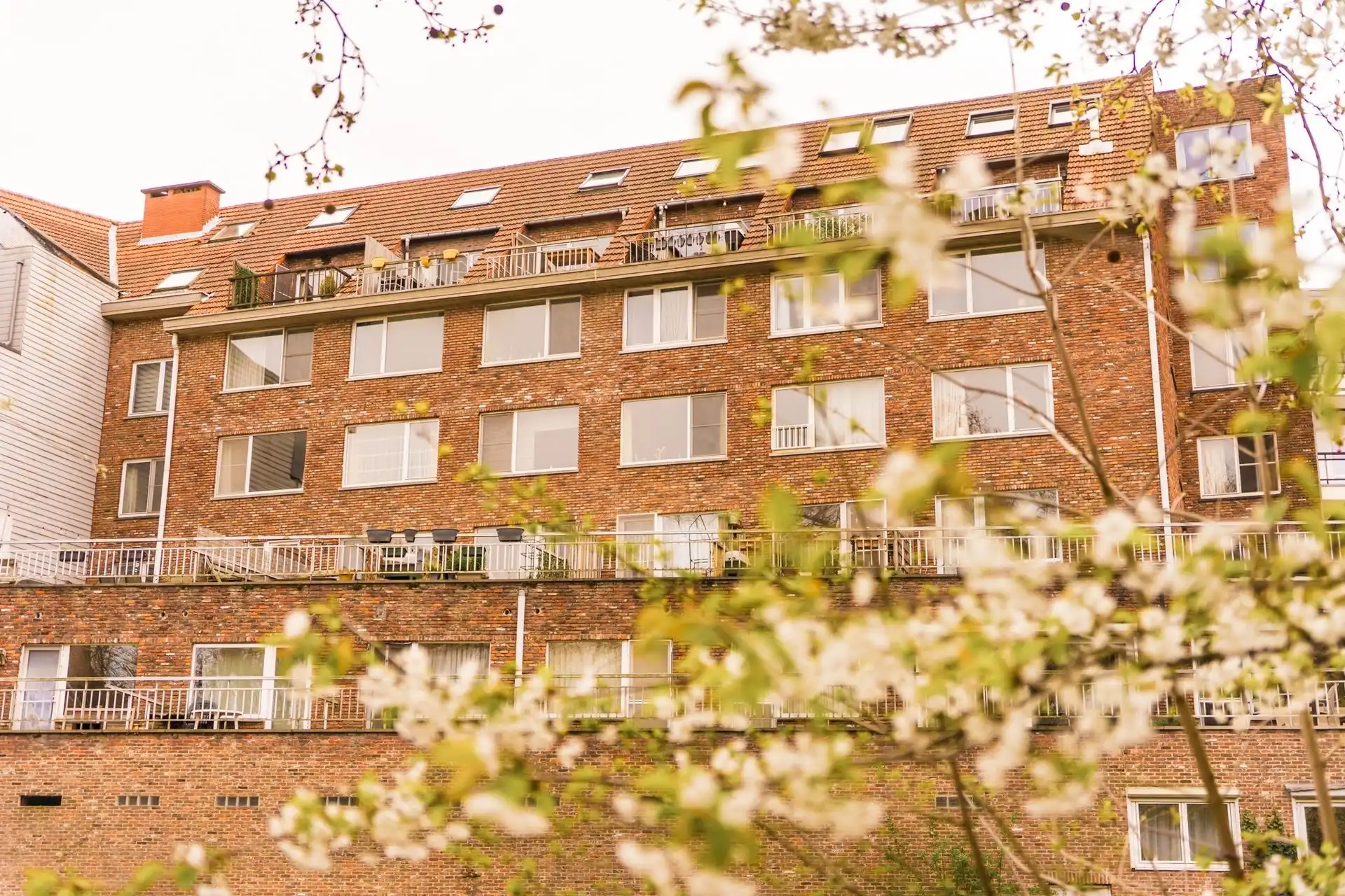 Instapklaar appartement met een prachtig zicht op de kruidtuin foto 2