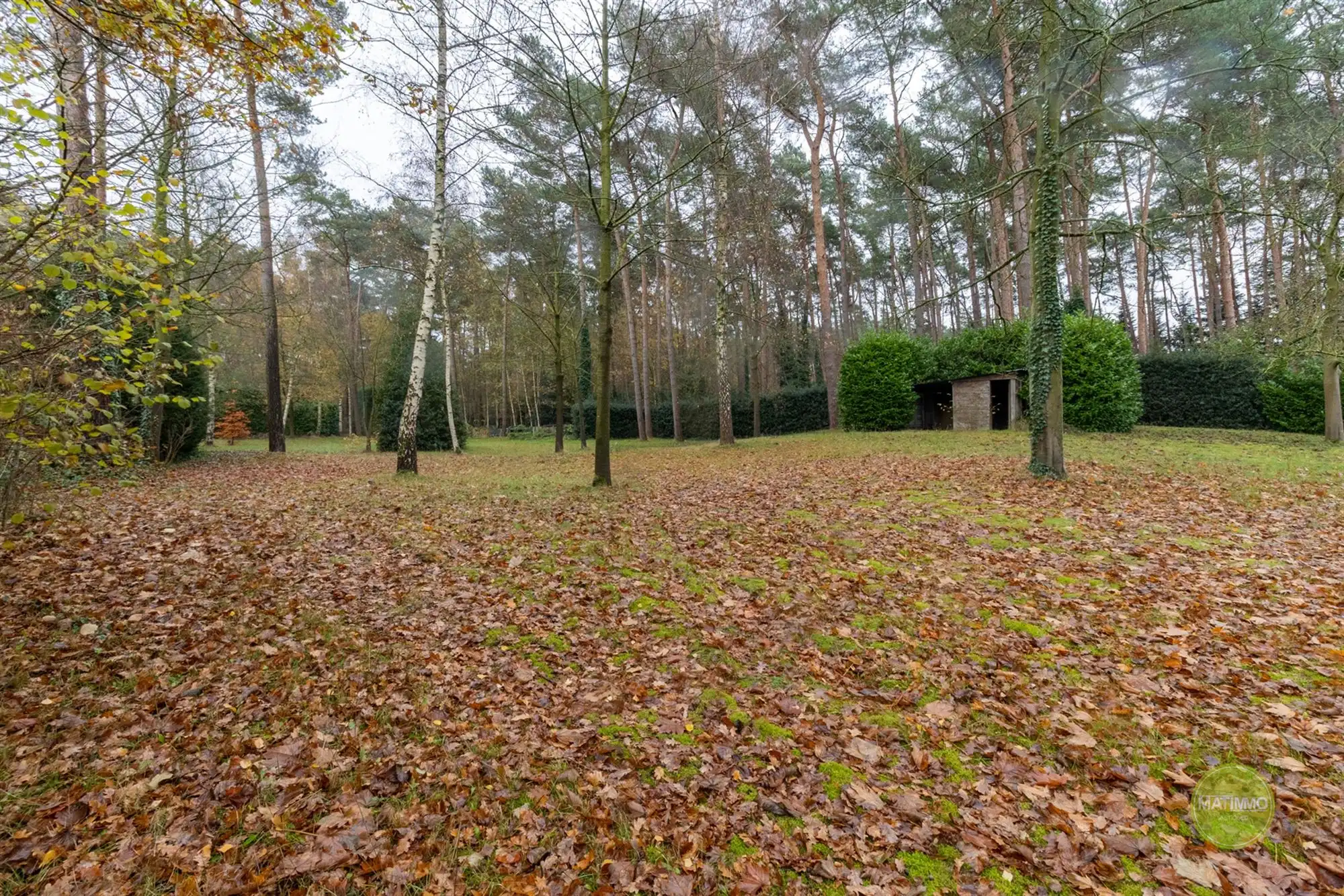 Halfopen woning met 5 slaapkamers in bosrijke omgeving  foto 31