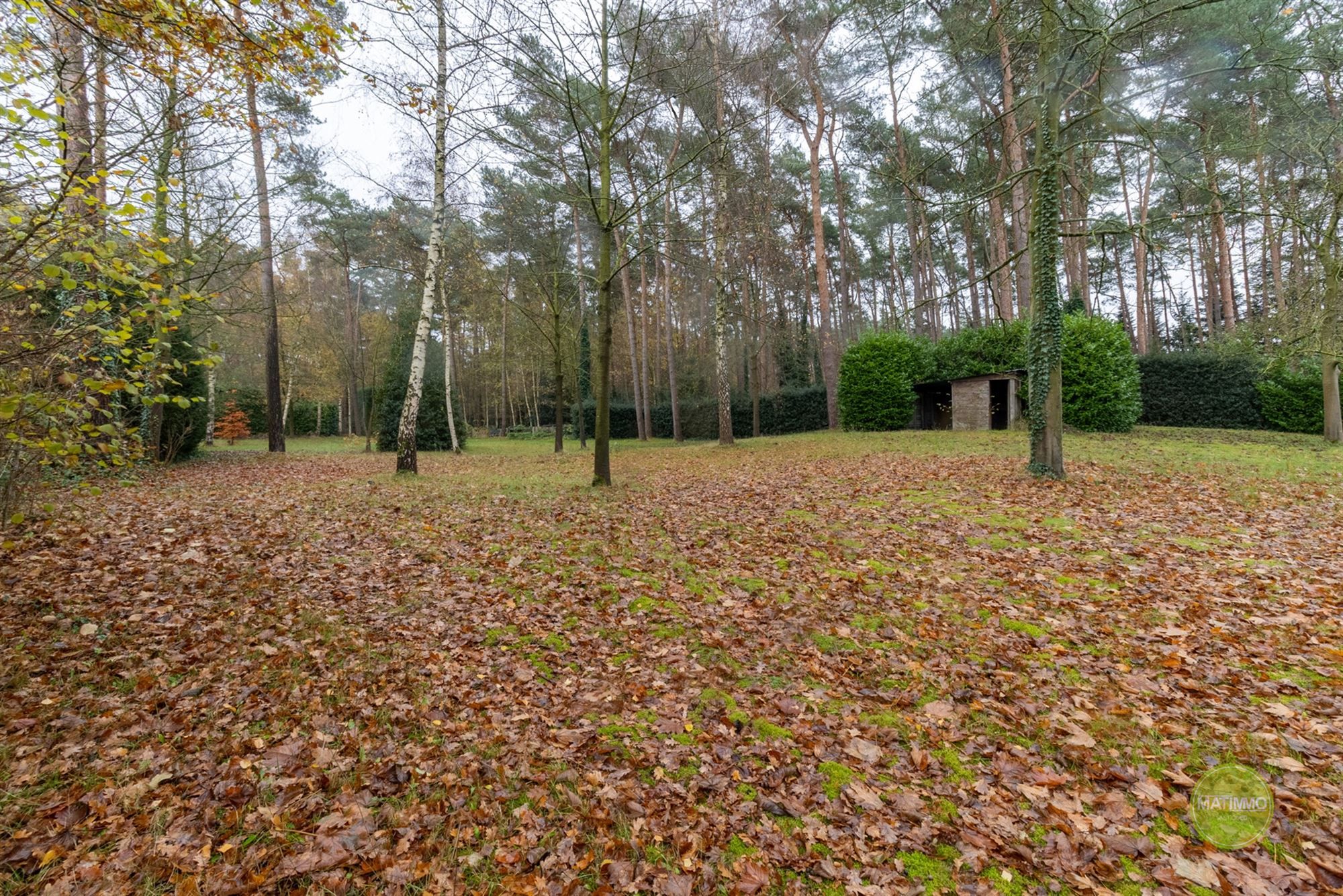 Halfopen woning met 5 slaapkamers in bosrijke omgeving  foto 31