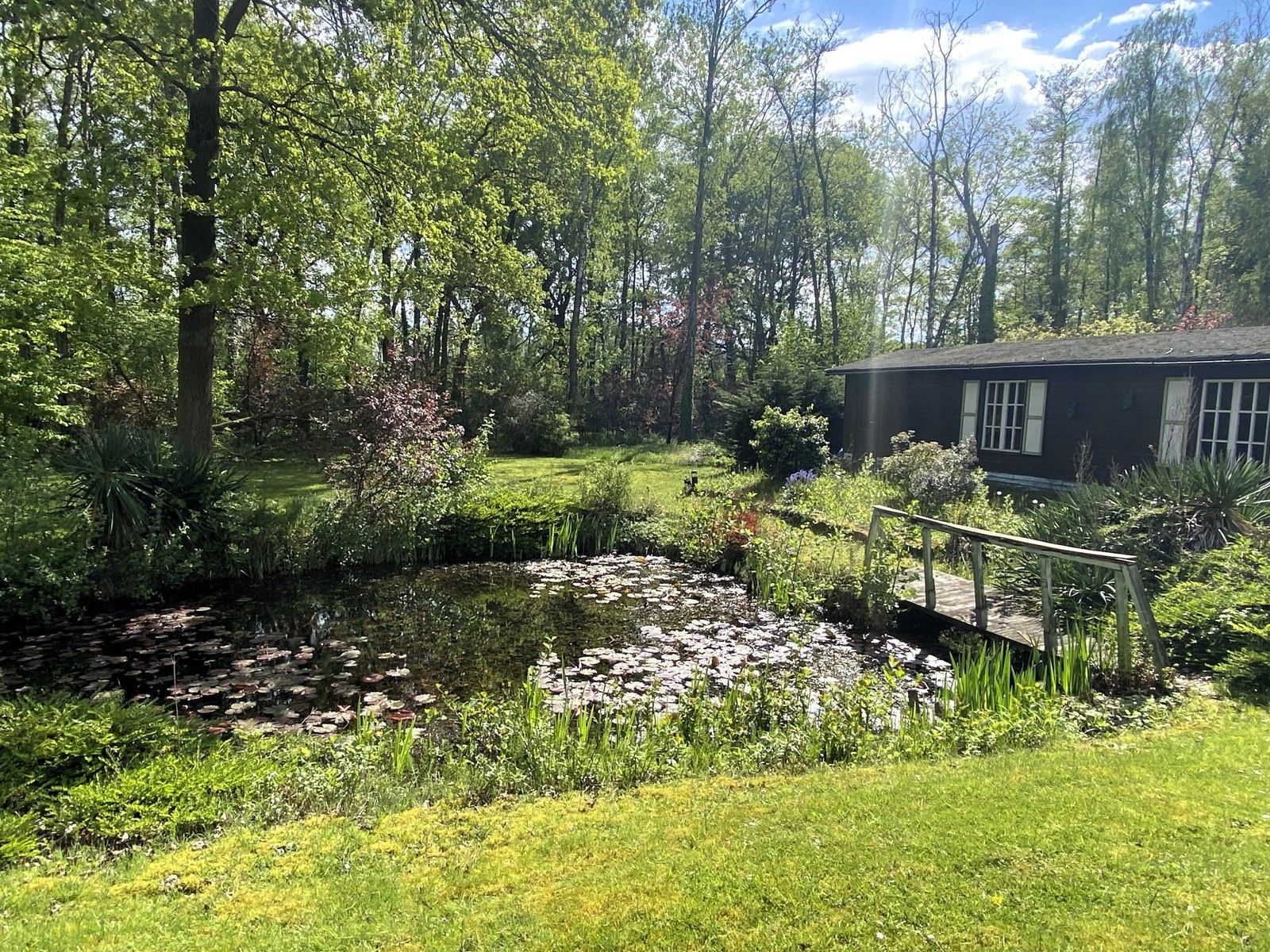 Ruime villa met mooie tuin, met uitzicht op natuurgebied. foto 16
