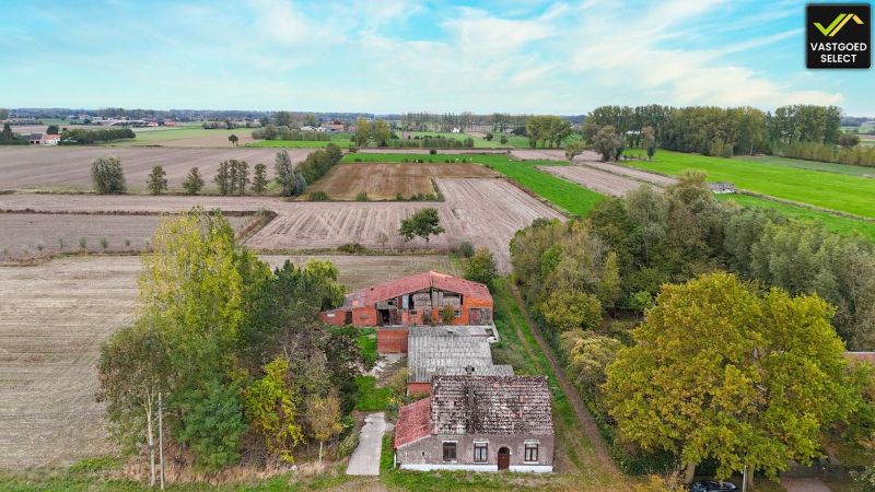 Te koop: Hoeve op 15.514 m² grond met potentieel – Moerstraat 14, Eeklo (nabij Sint-Laureins) foto 3