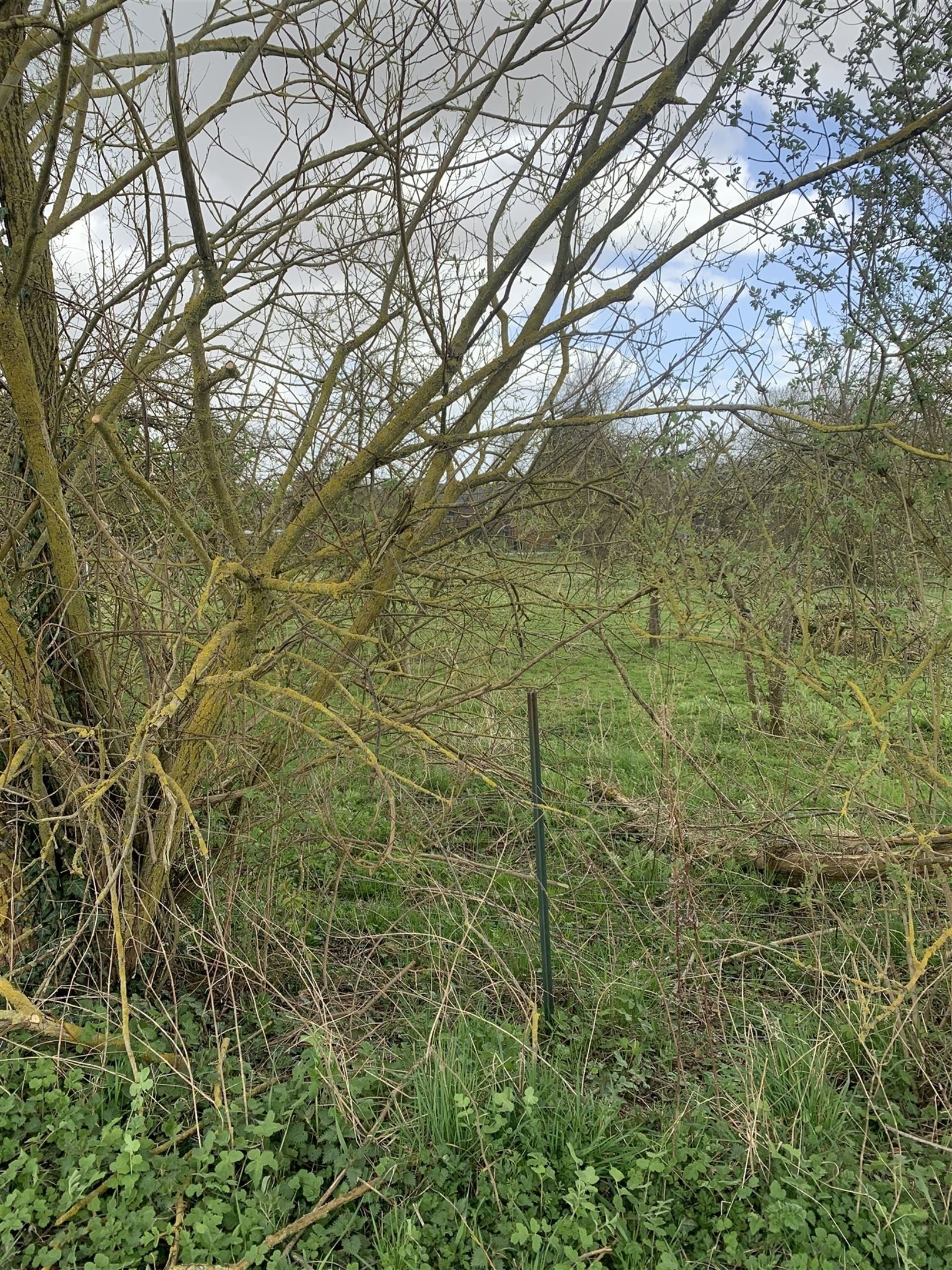 Bouwgrond foto 4