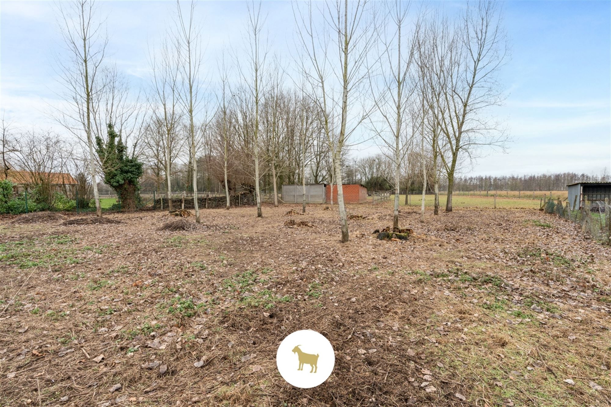 Te slopen WONING op uniek ruim PERCEEL (BOUW)GROND van ca. 3.310 m² foto 11