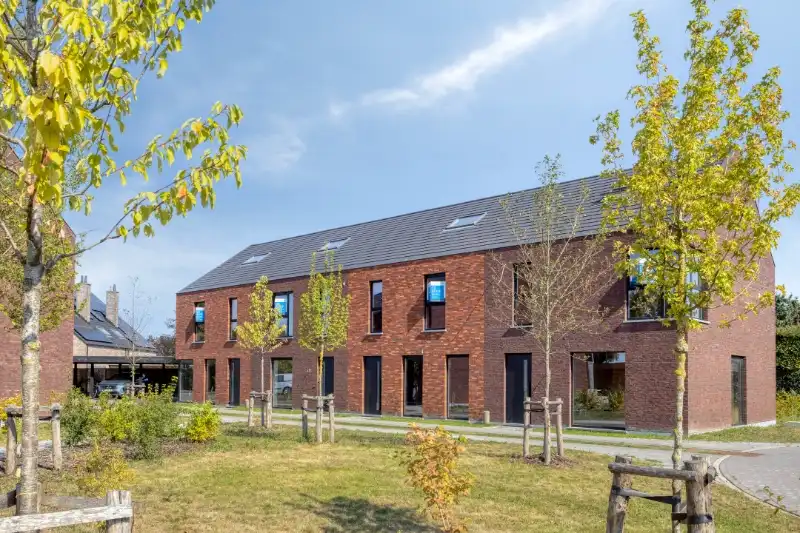 Melsele (Beveren), Bergmolenstraat foto 4