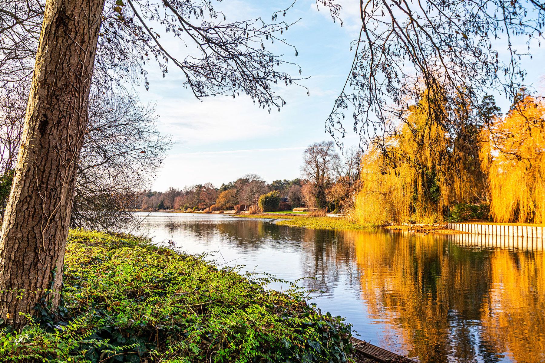 Exclusieve bouwgrond van 4.370 m² in “Golf & Meer”-domein foto 31