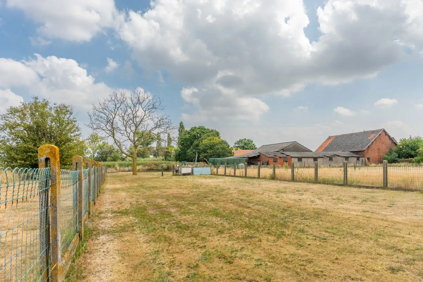 Landelijk wonen met ruimte, rust en eindeloze mogelijkheden foto 29