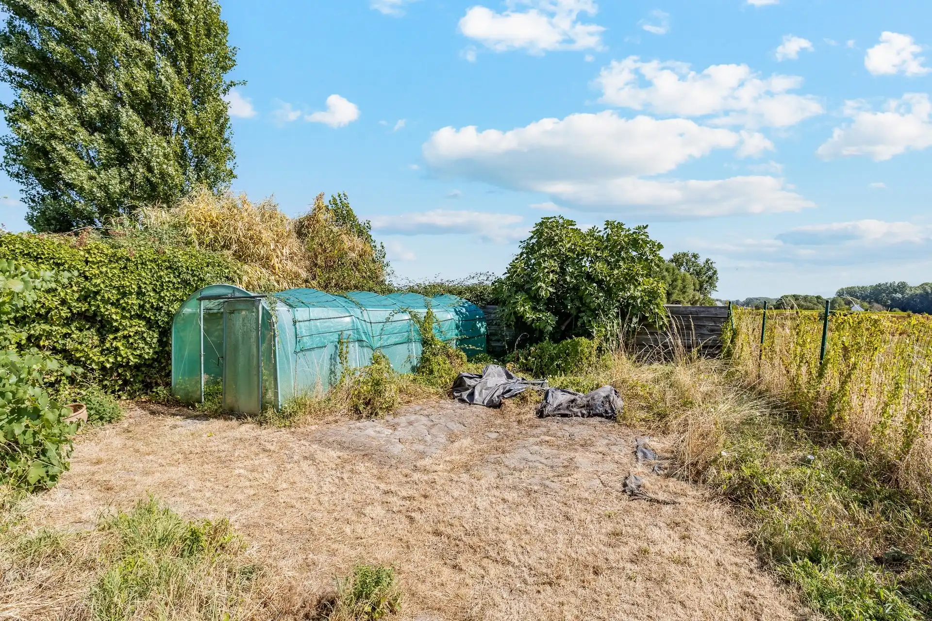 Zeer ruime woning met twee wooneenheden en prachtig landelijk uitzicht foto 28