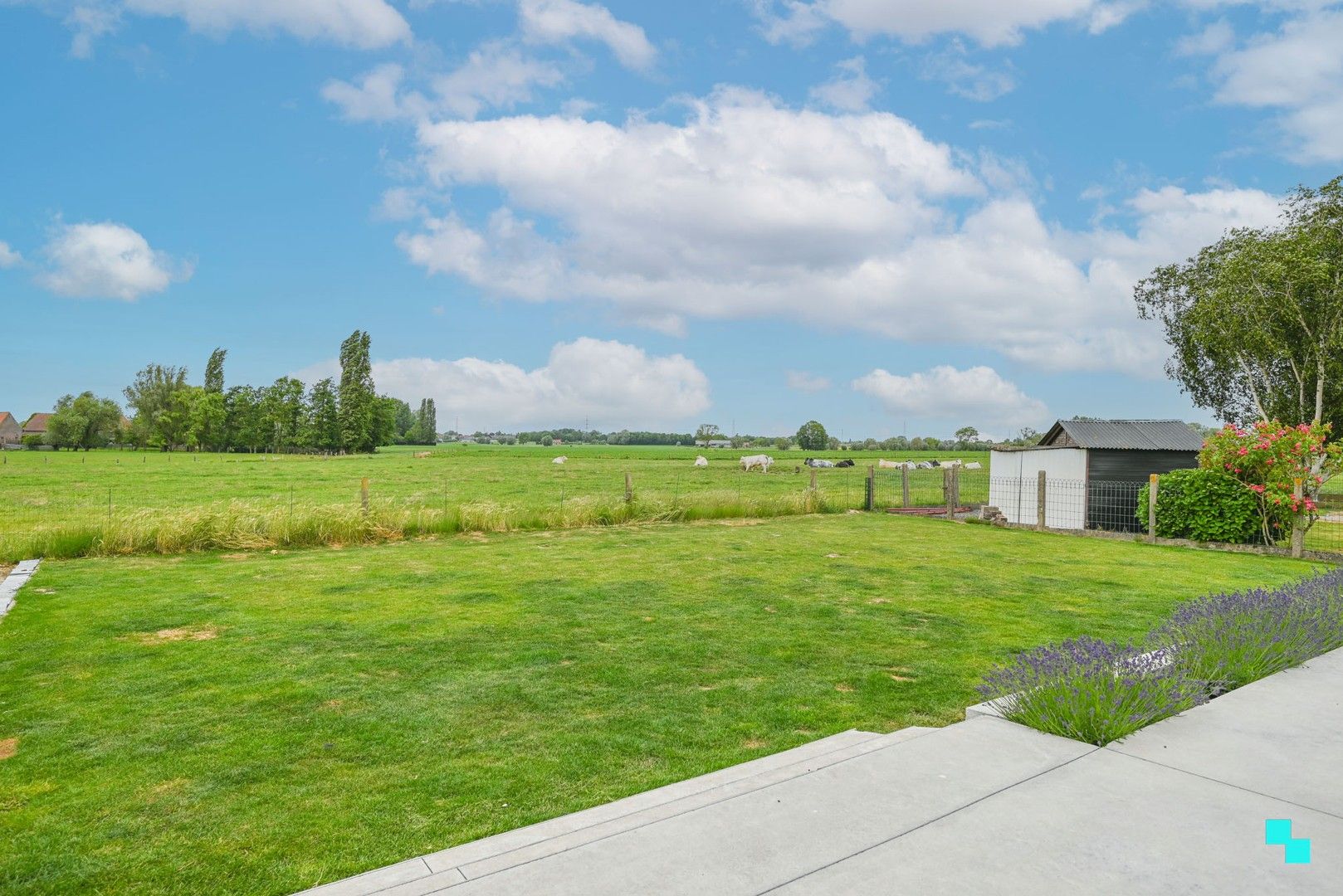 Energiezuinige bungalowwoning met landelijk verzicht in Kuurne! foto 16