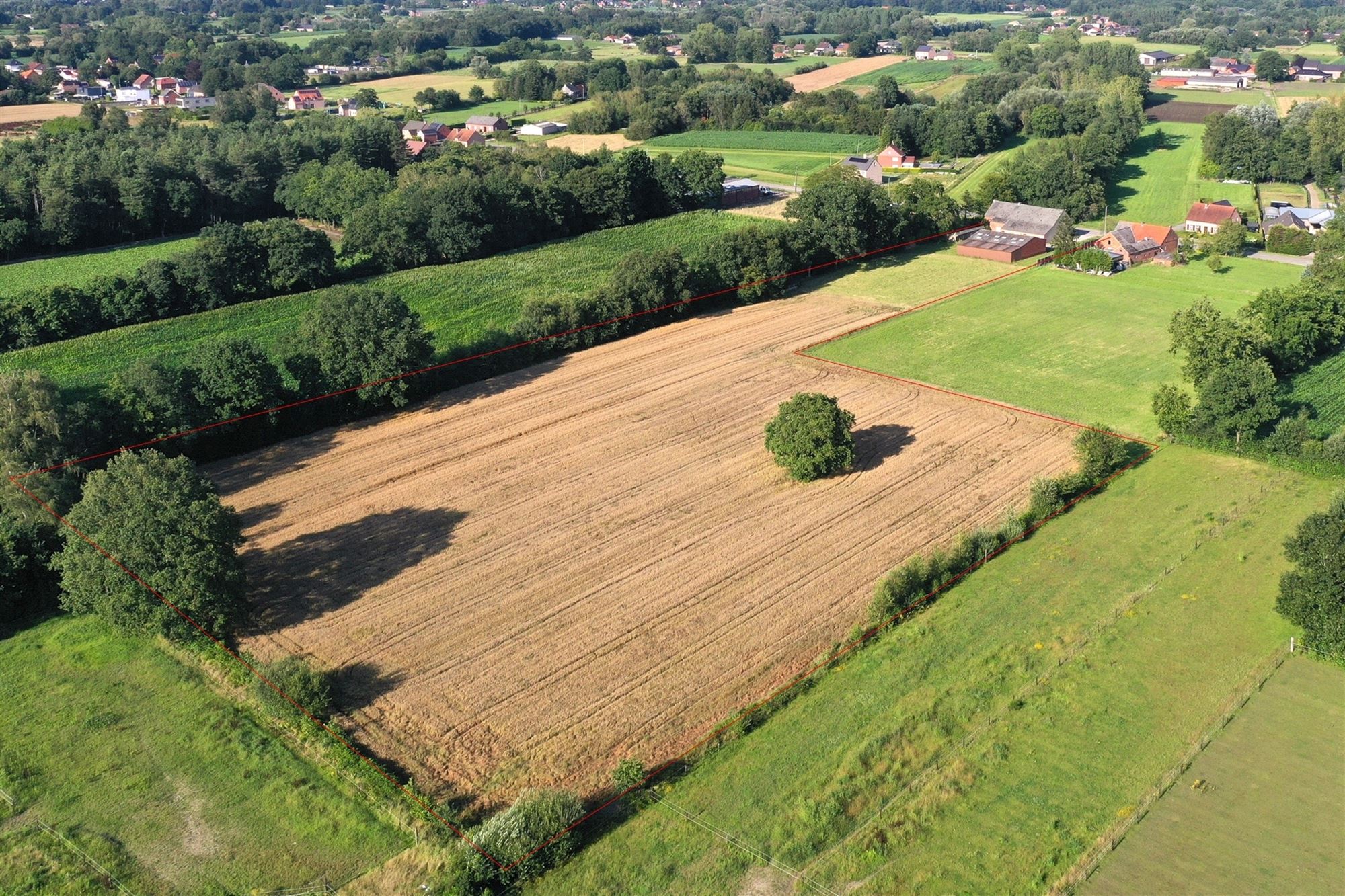 hoeve met 2,23 ha weiland foto 3