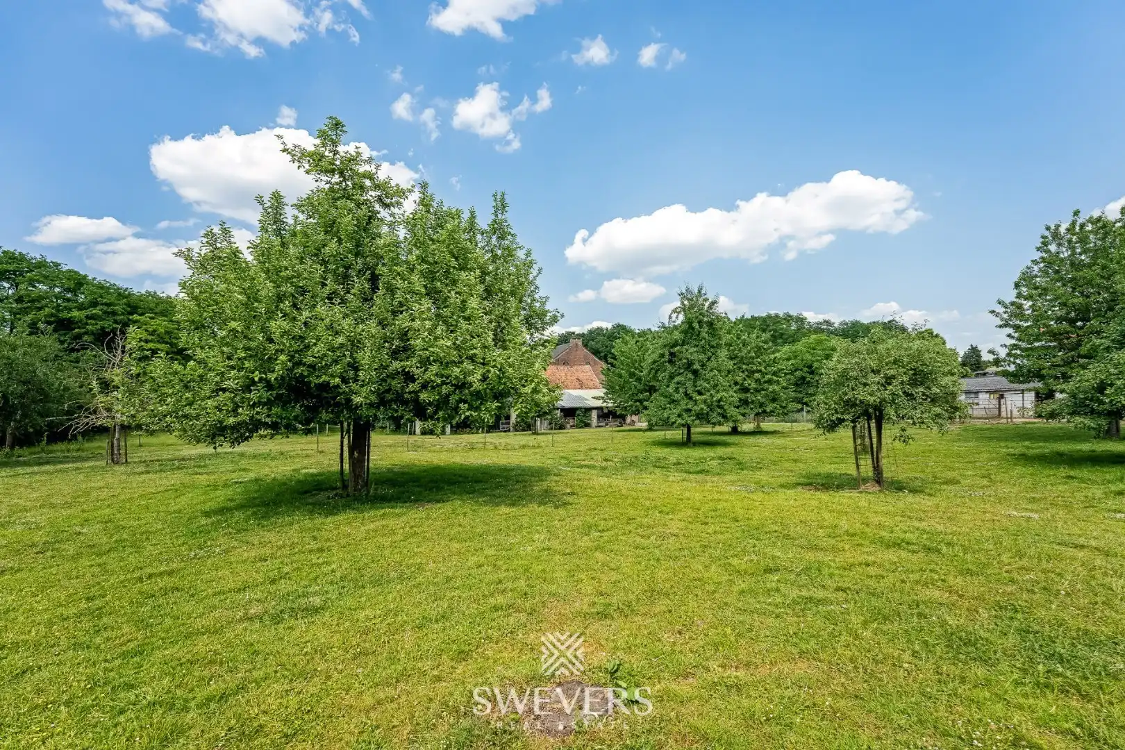 Authentiek herenhuis op 77a met stallingen foto 30